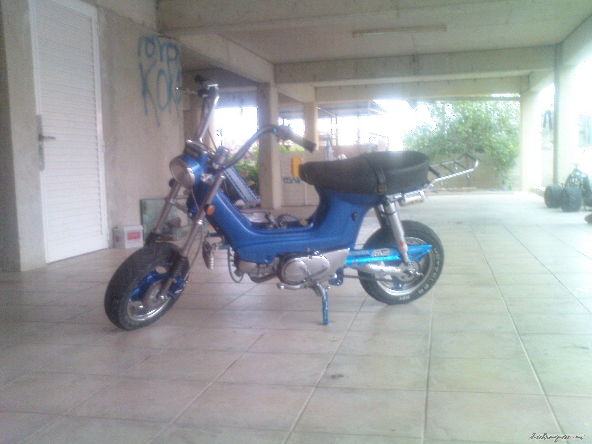 Photo 1526953