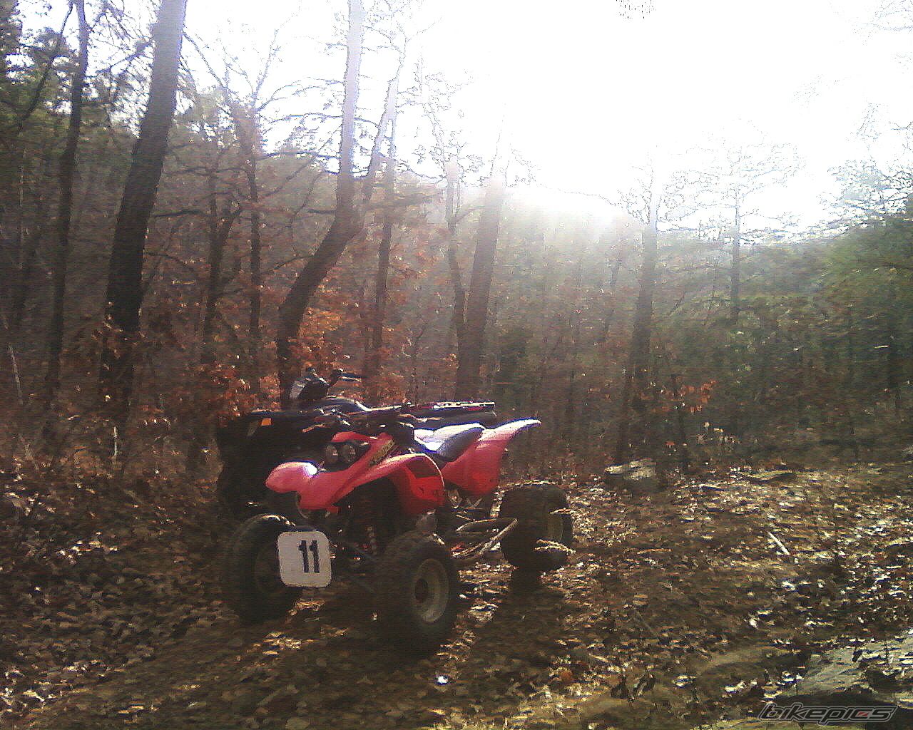 Photo 1527008