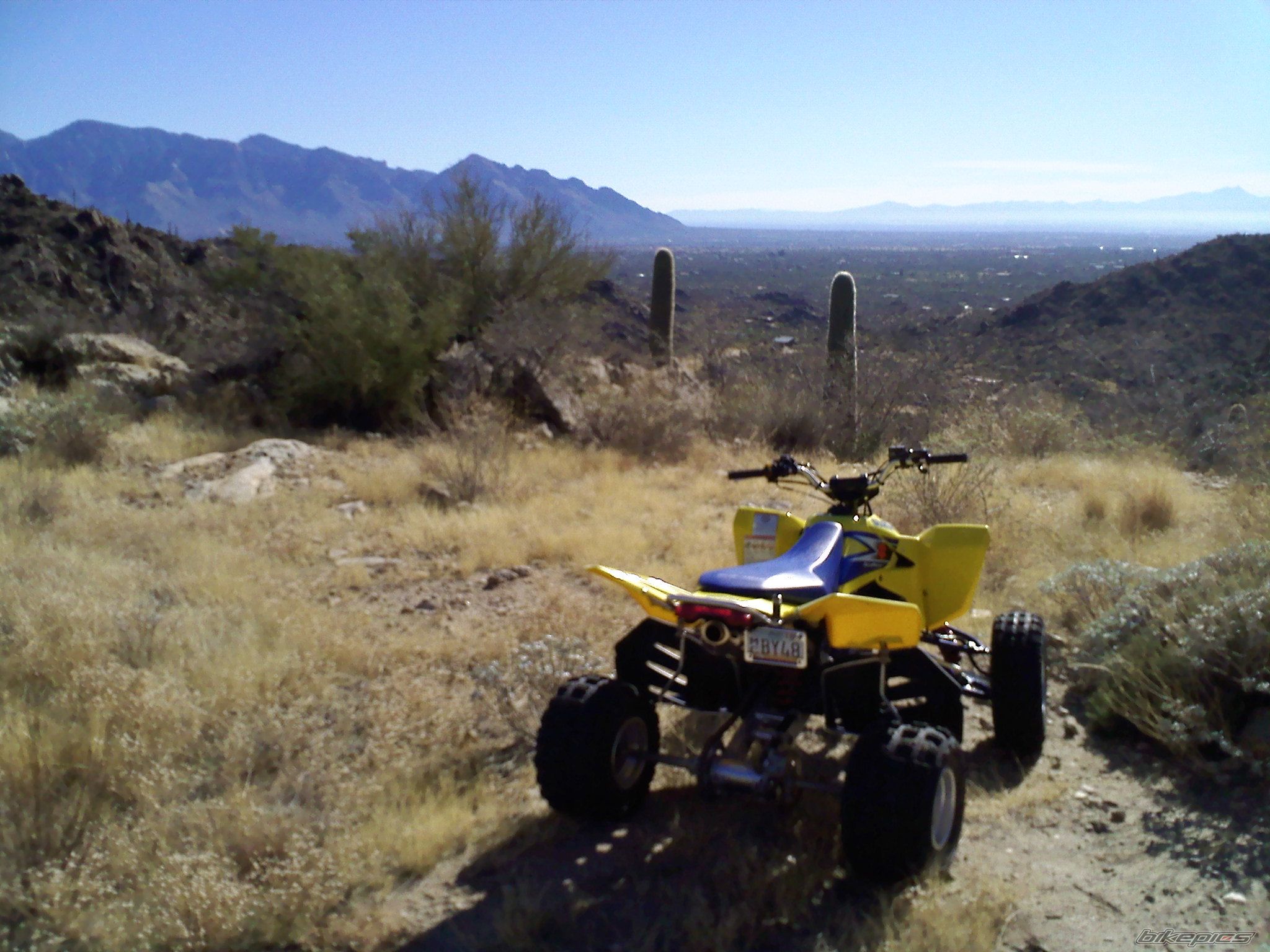 Photo 1527037