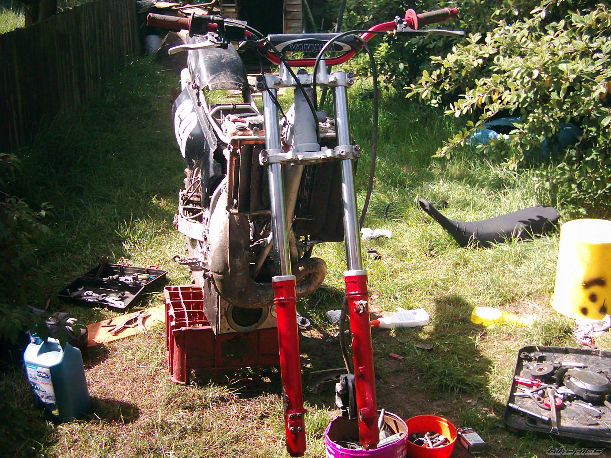 Photo 152711