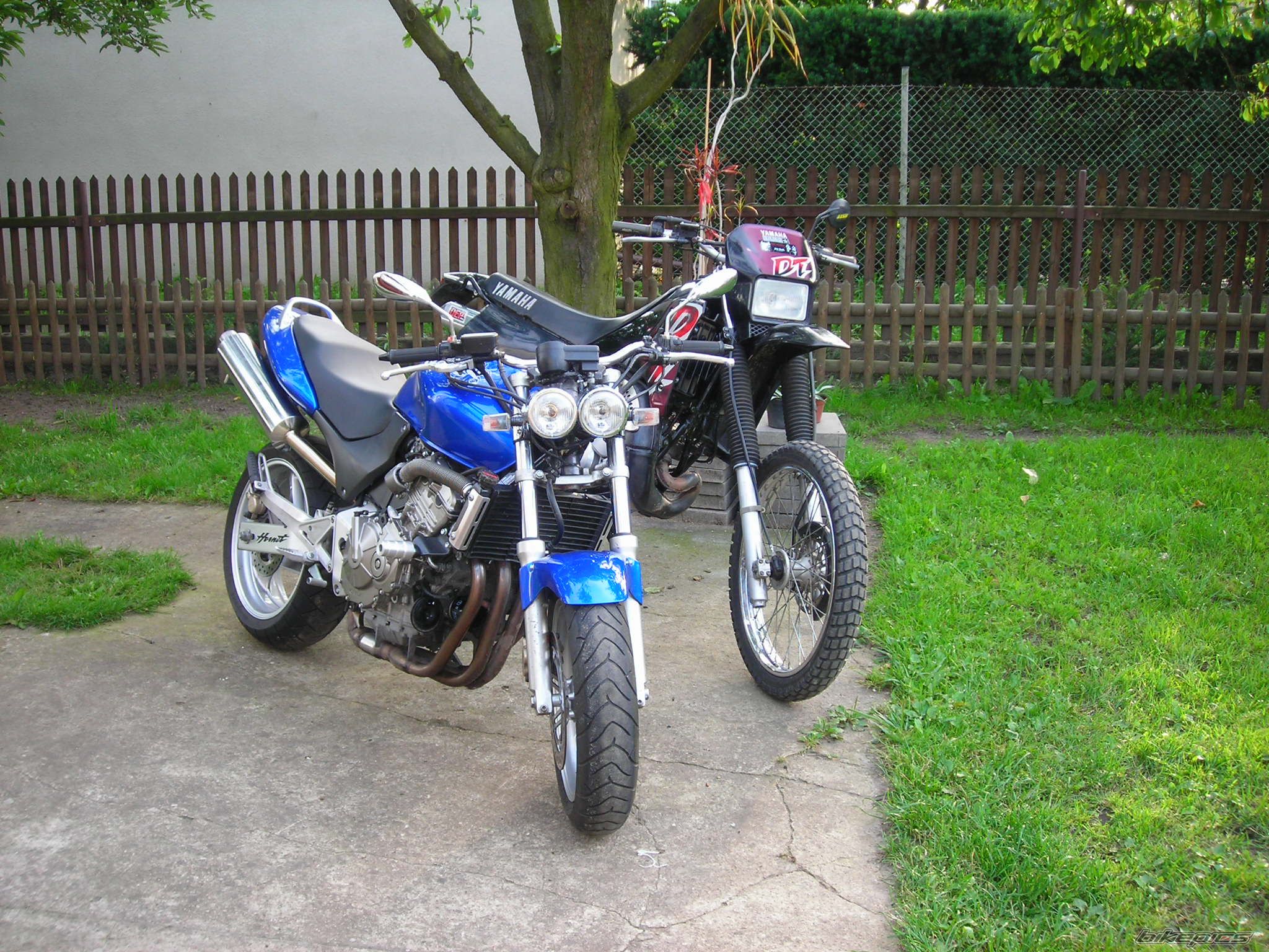 Bike Photo 1527317