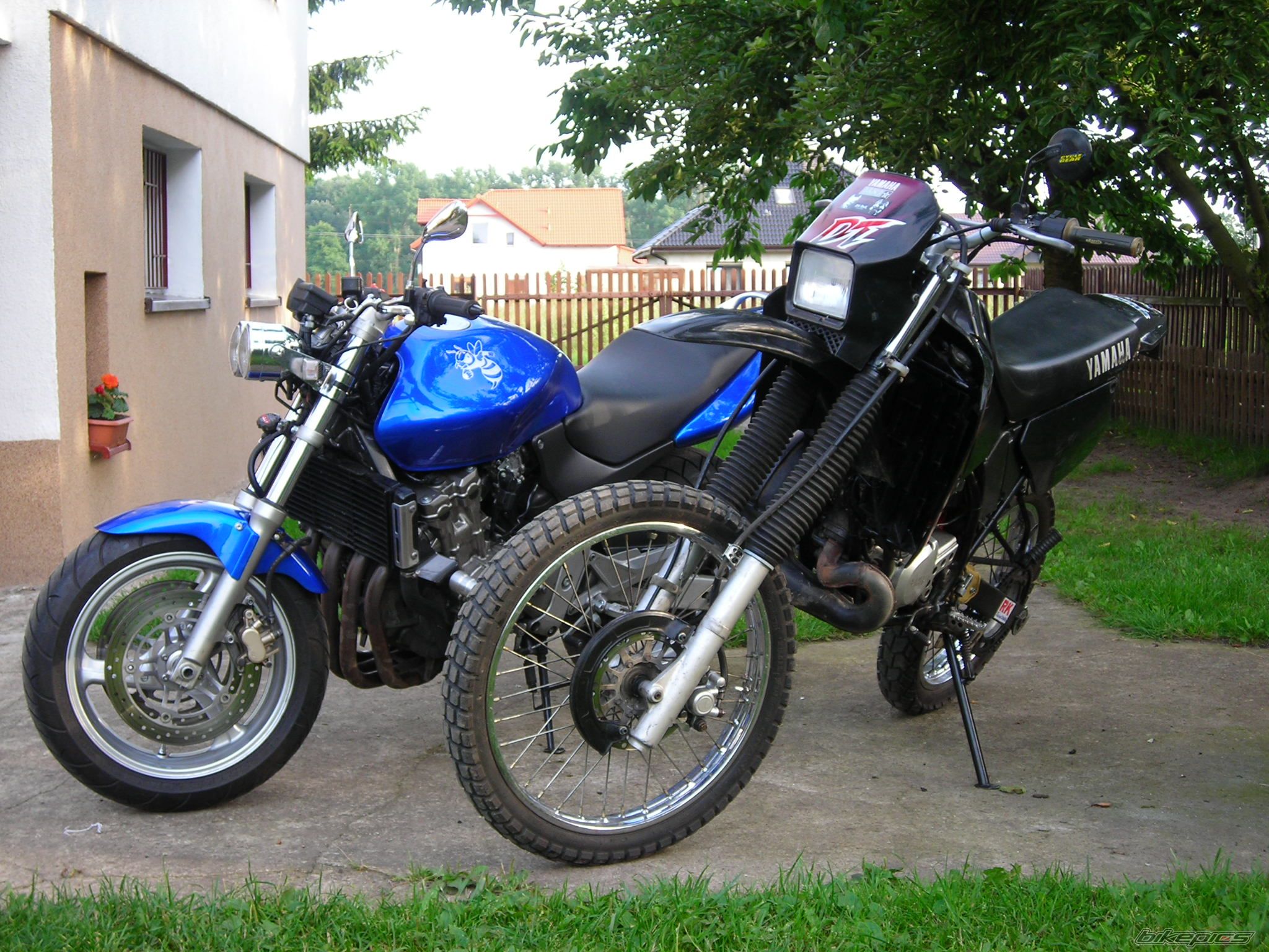 Bike Photo 1527319