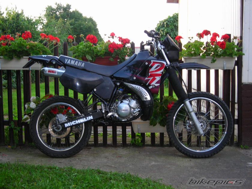 Photo 1527321