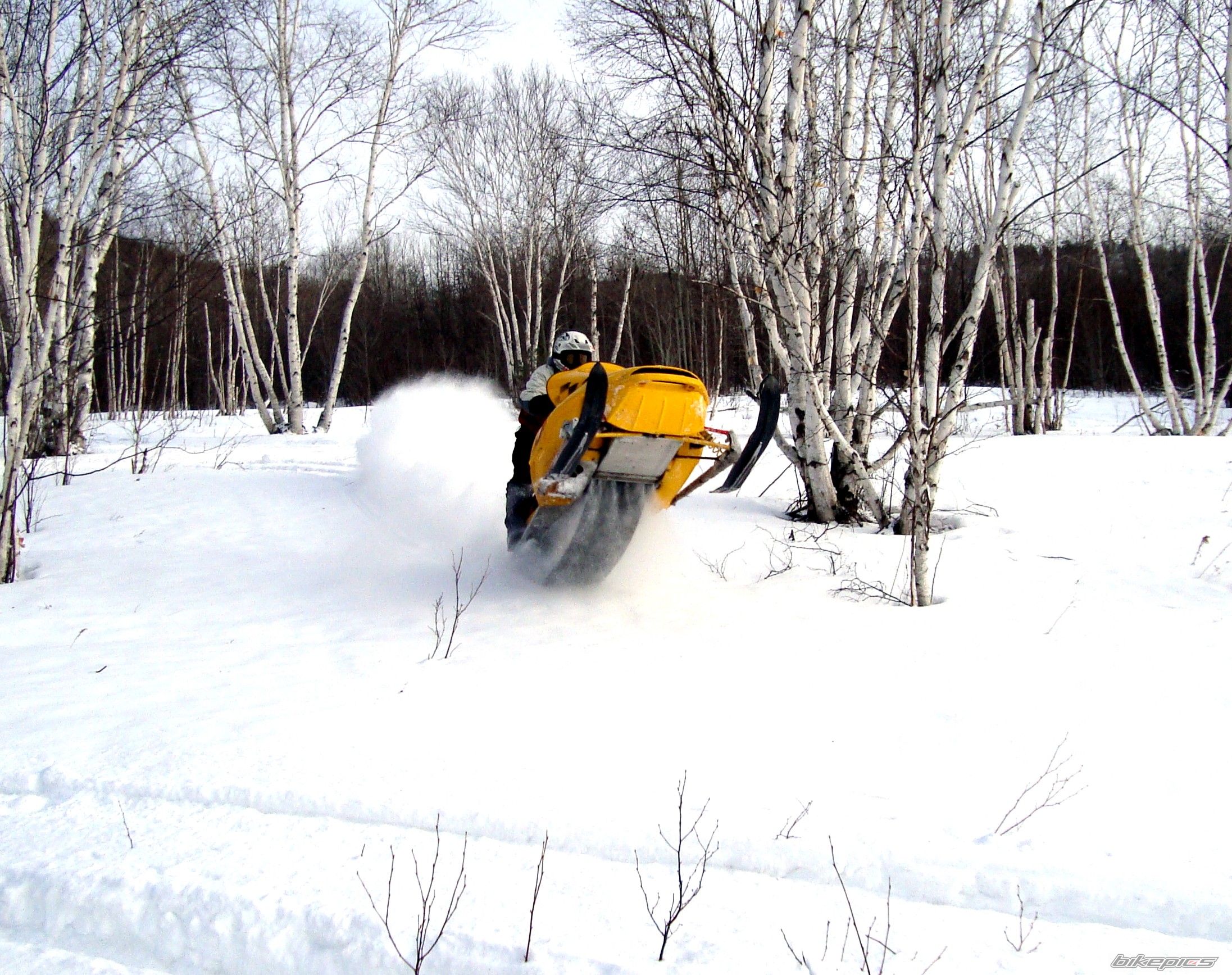 Photo 1527452