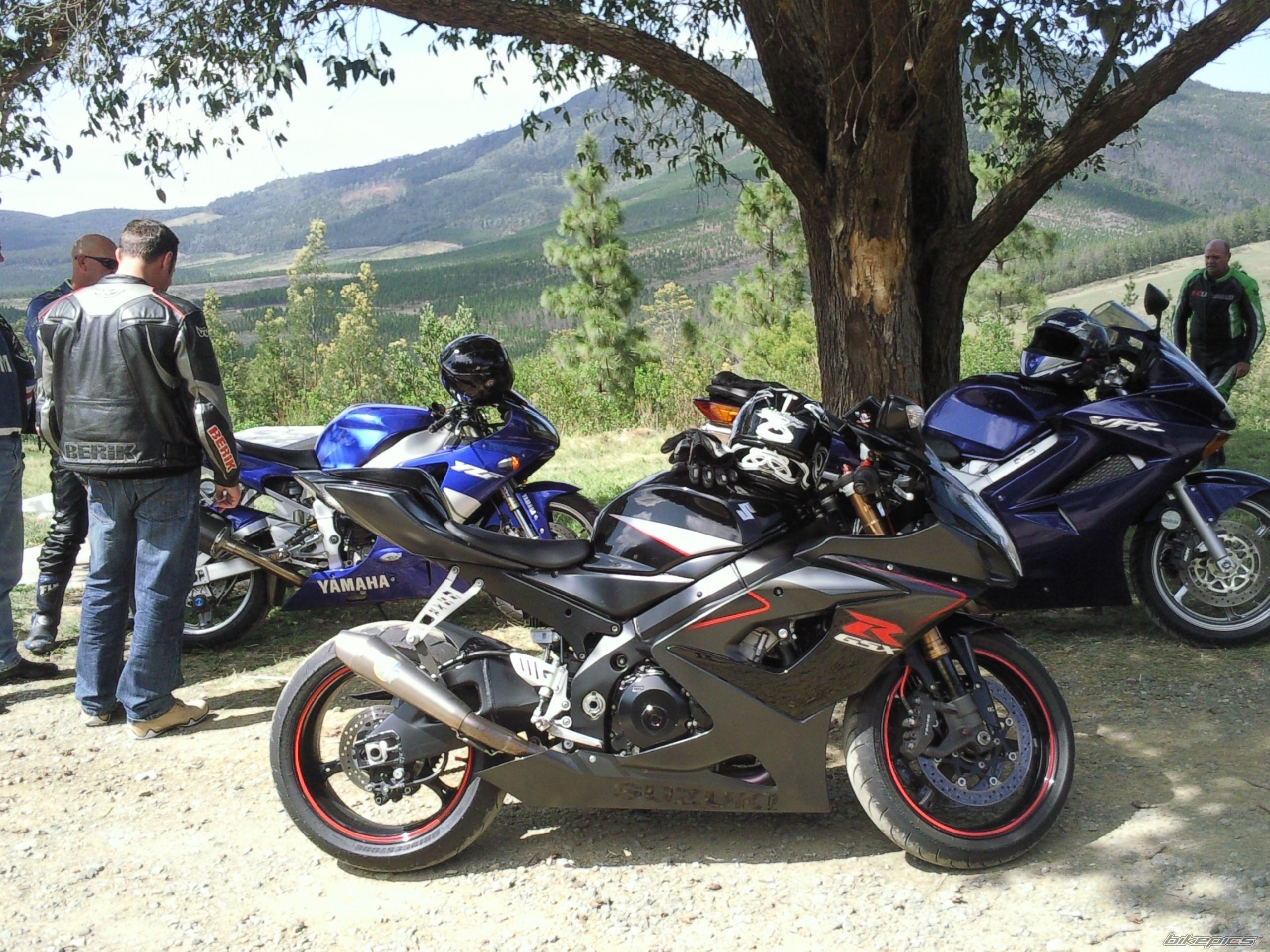 Photo 1527460