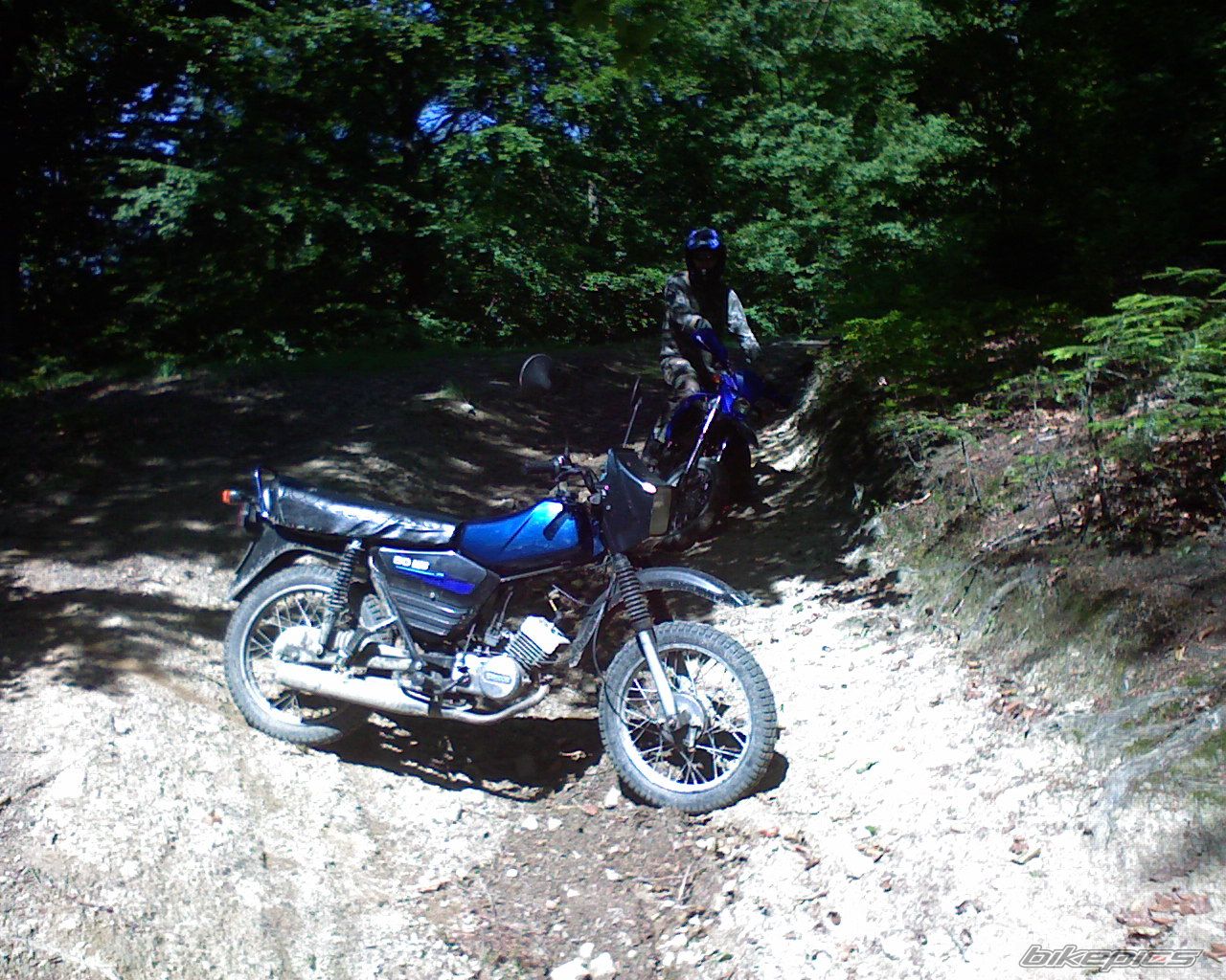 Photo 1527653