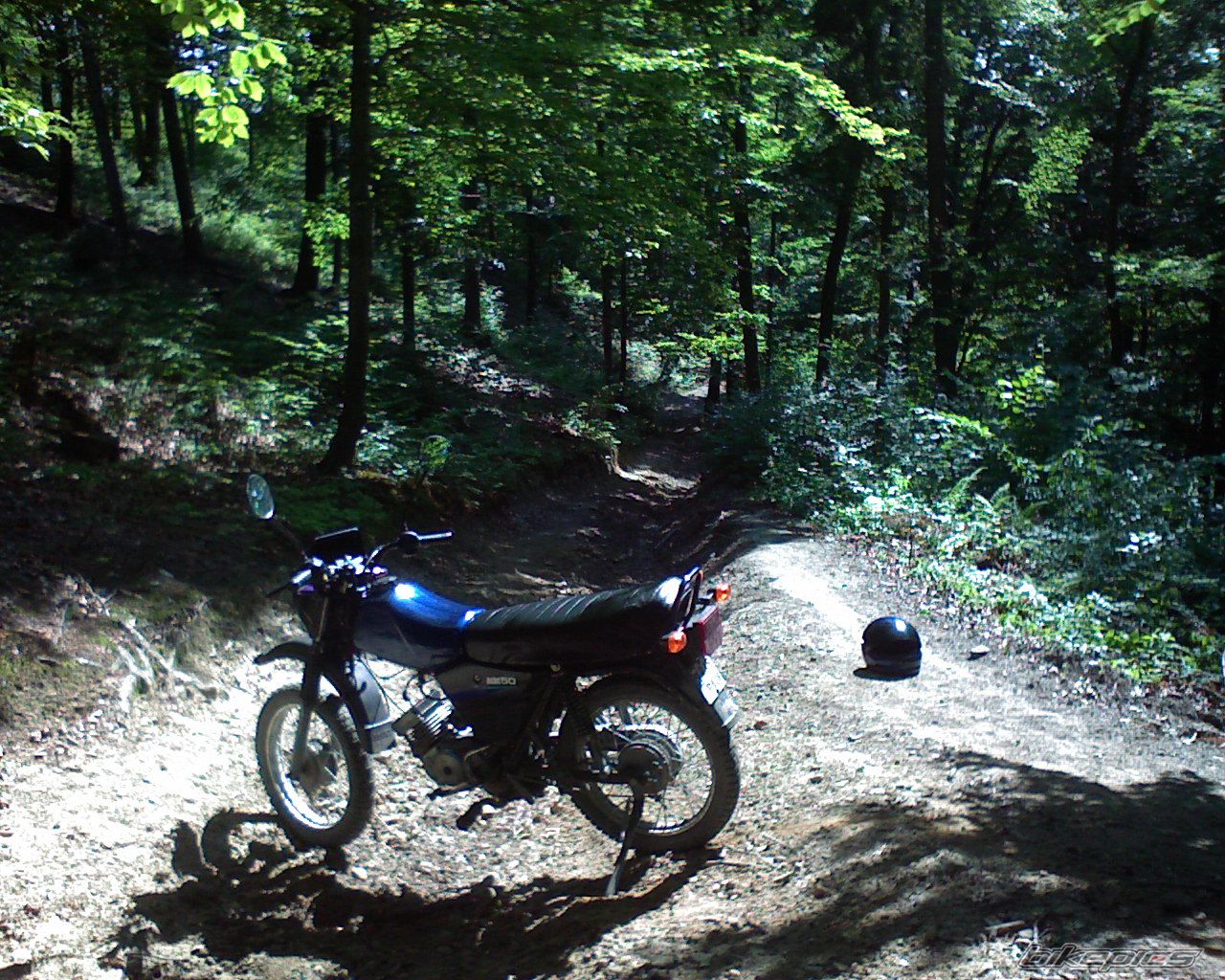 Photo 1527657