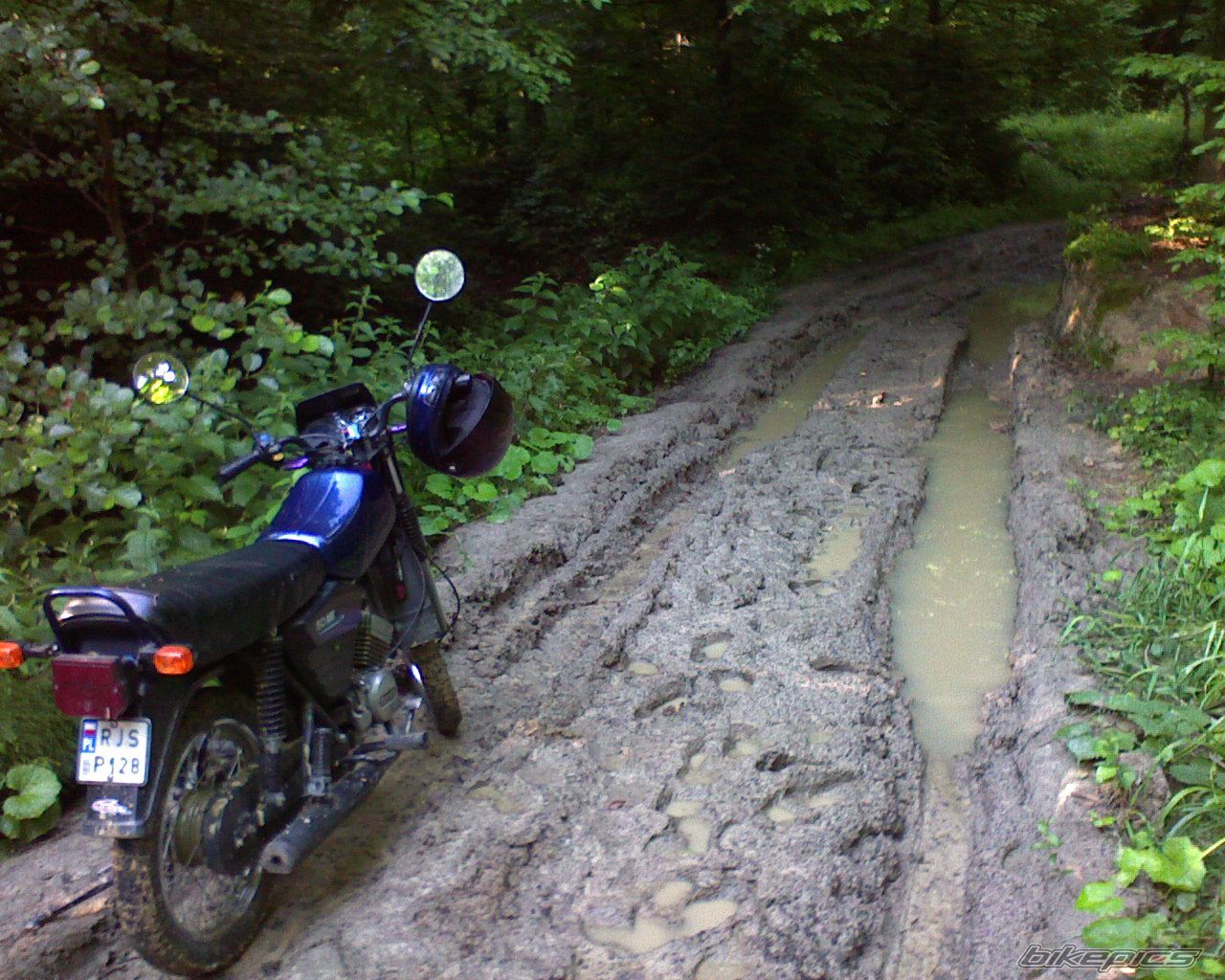 Photo 1527661