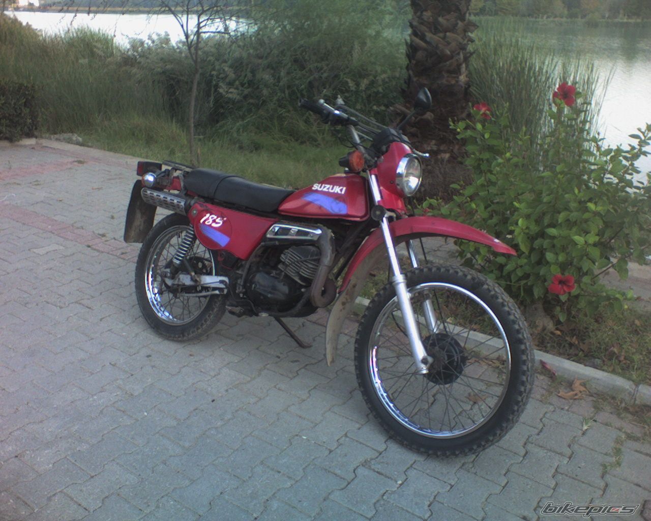 Photo 1527685