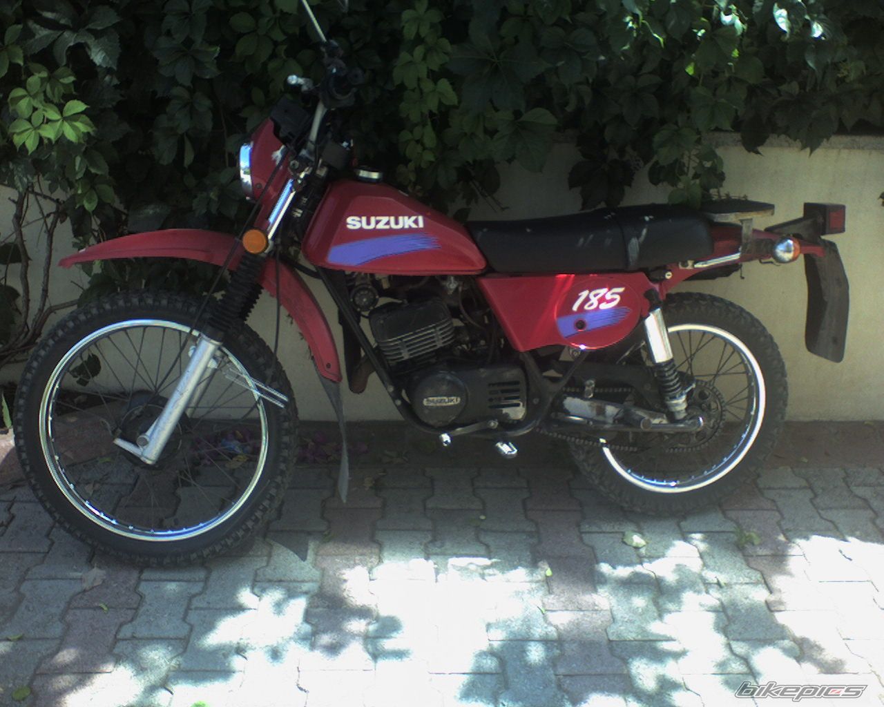 Photo 1527686