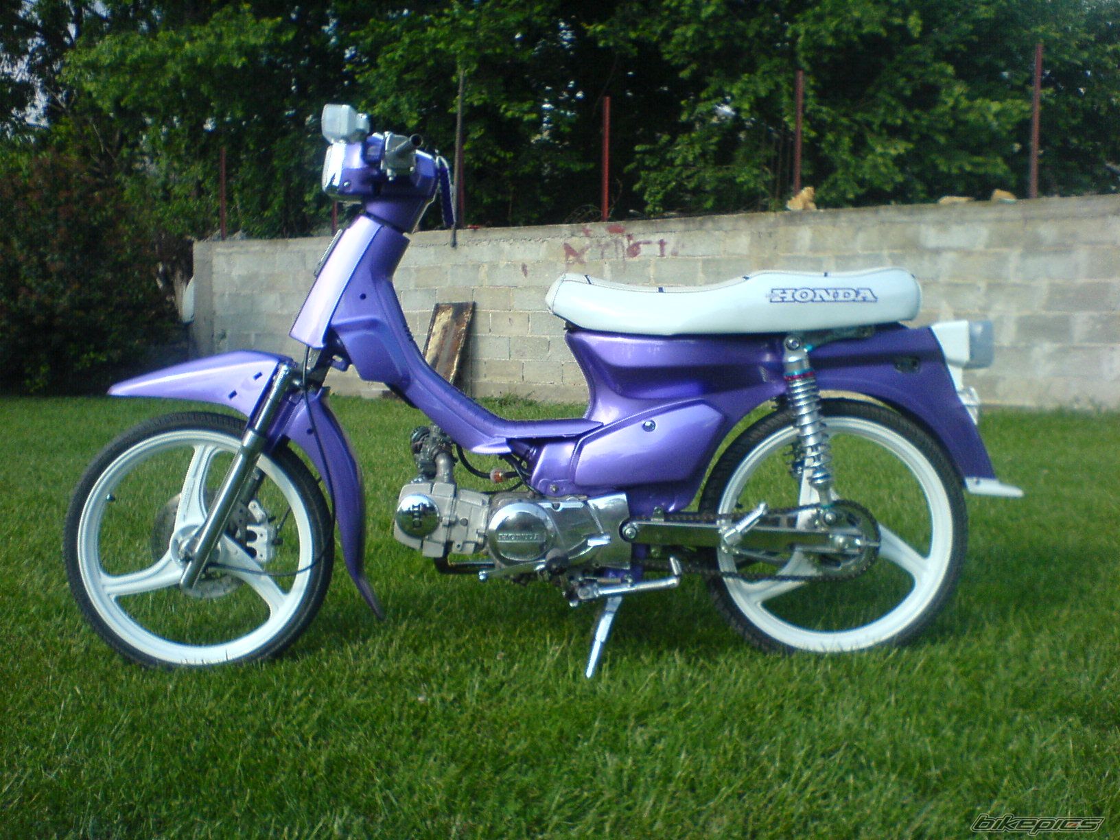 Photo 1527696