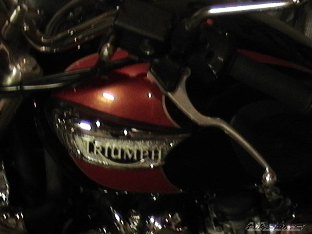 Photo 152770
