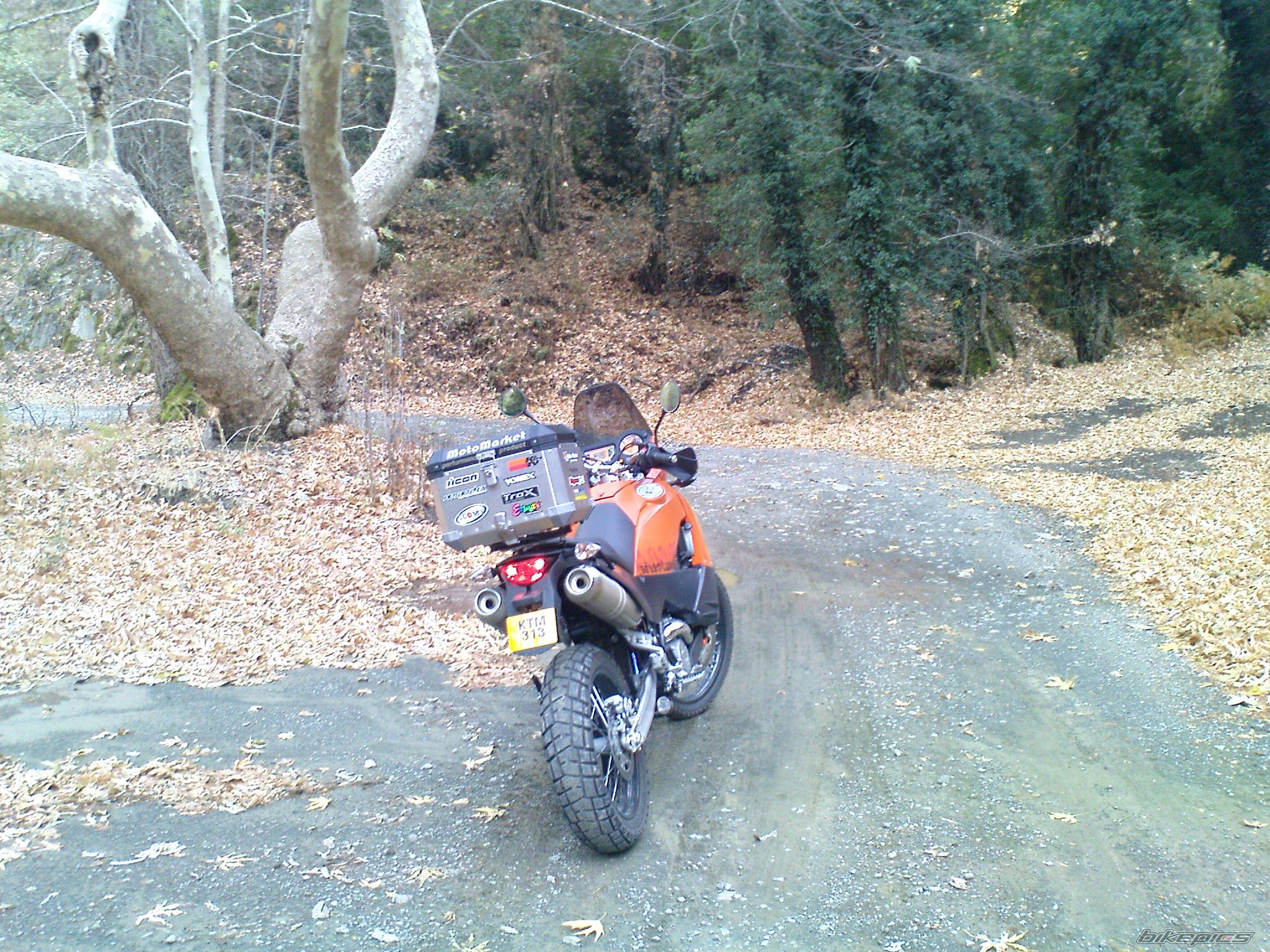 Photo 1527706