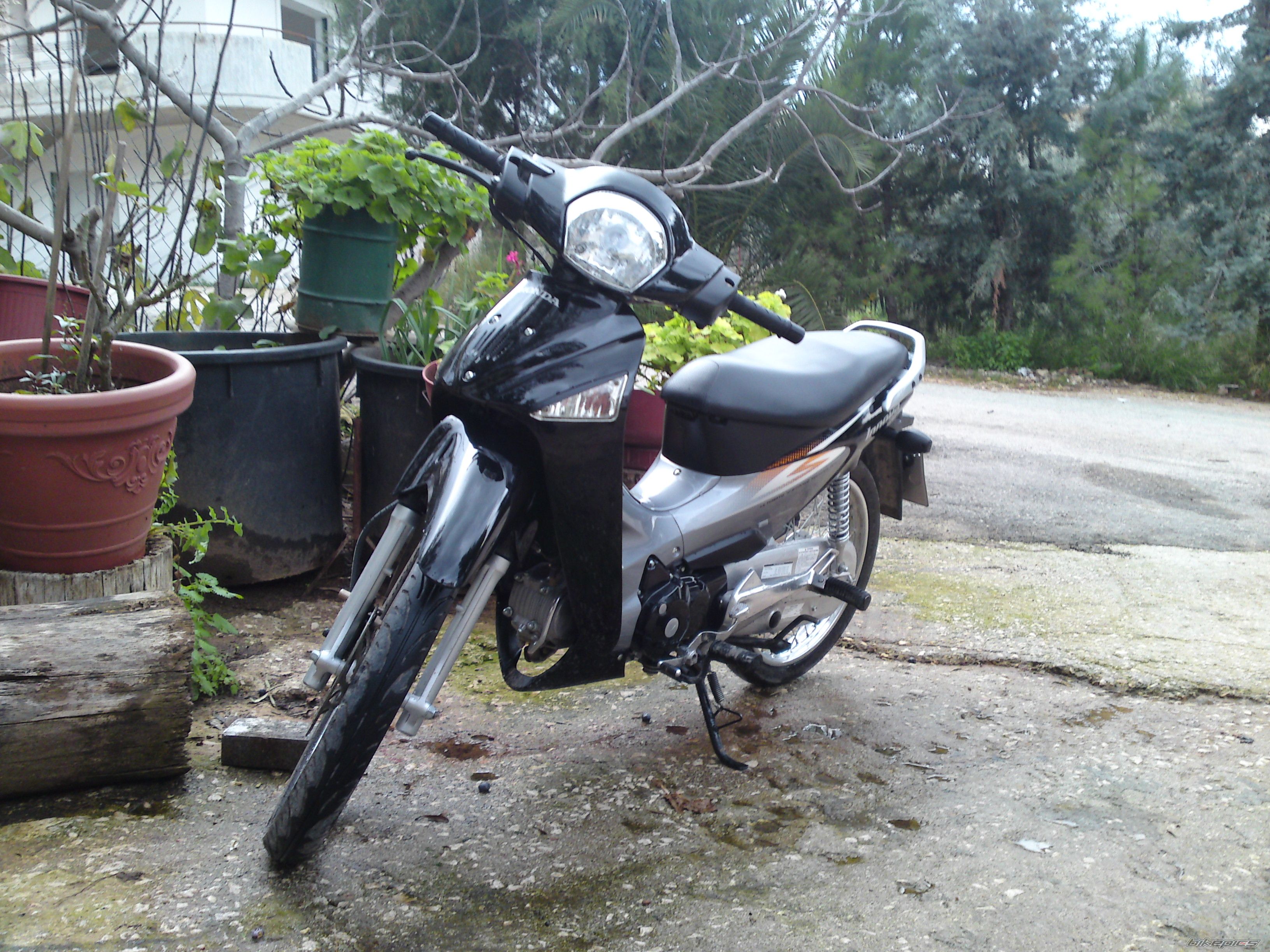 Photo 1527778
