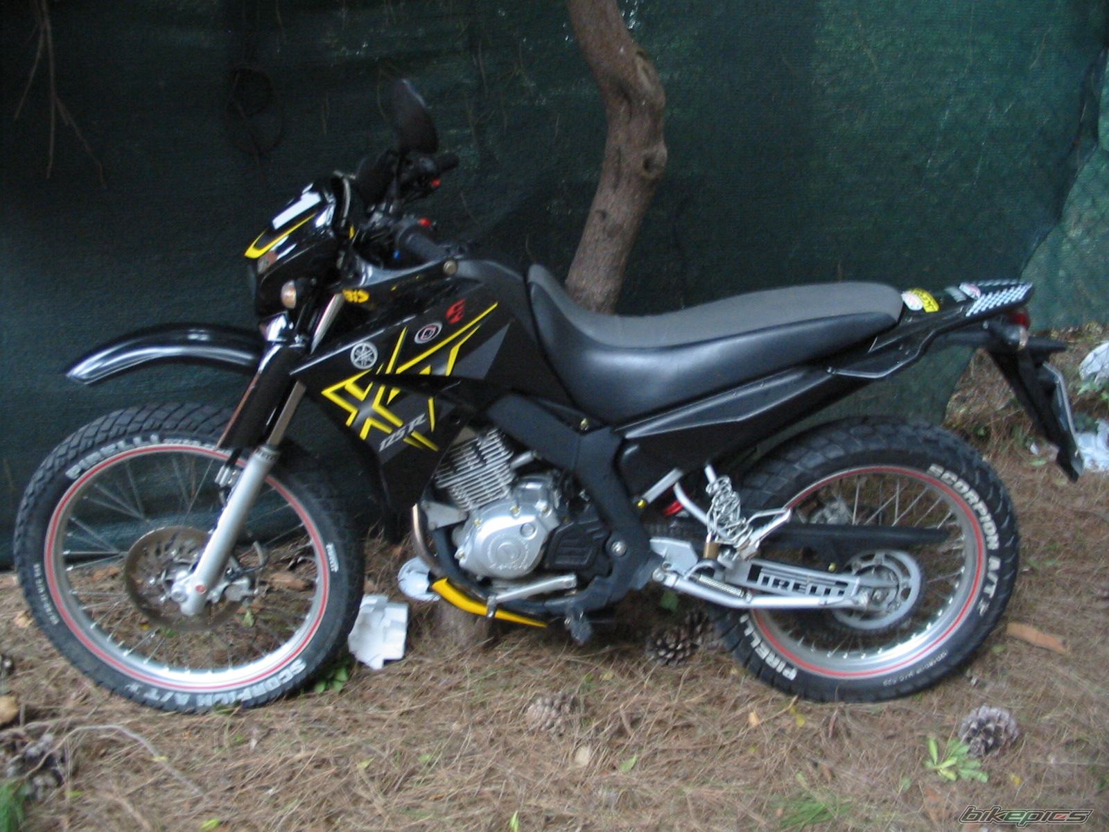 Photo 1527845