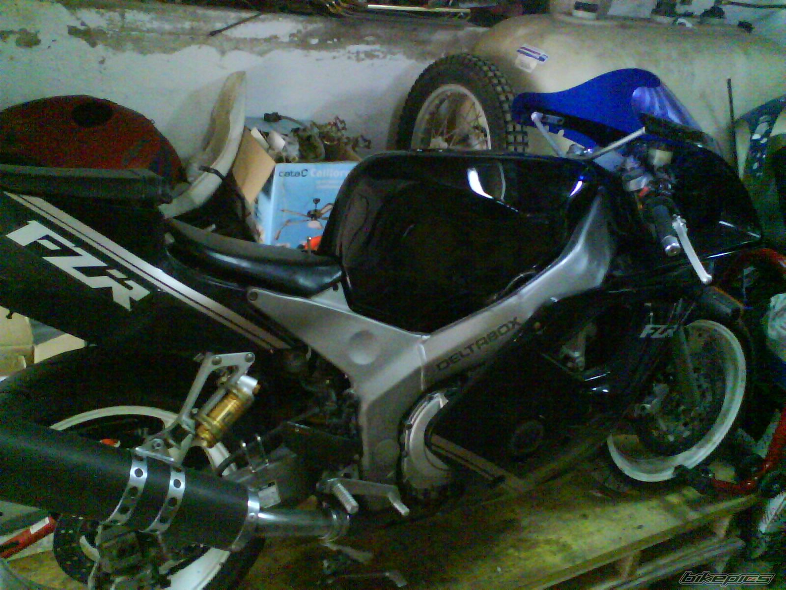 Photo 1527849