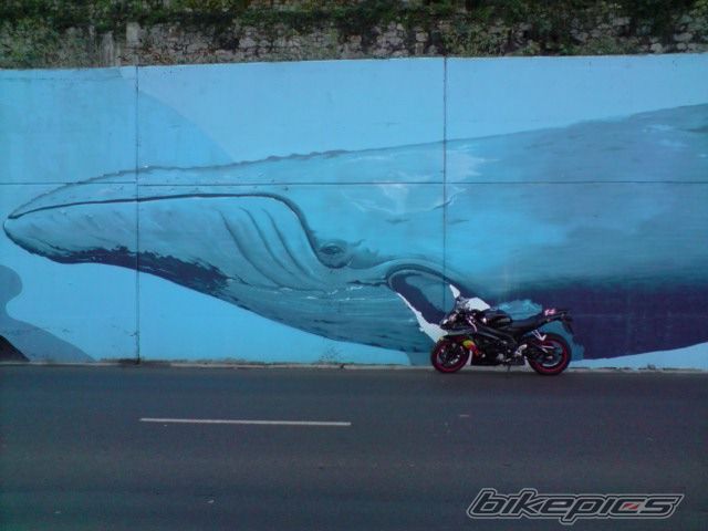 Bike Photo 1527953