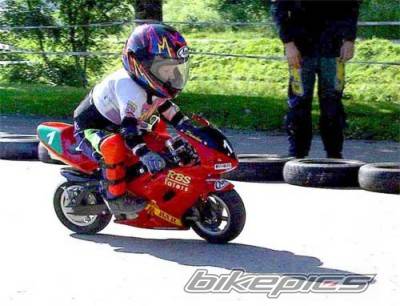 Photo 15280