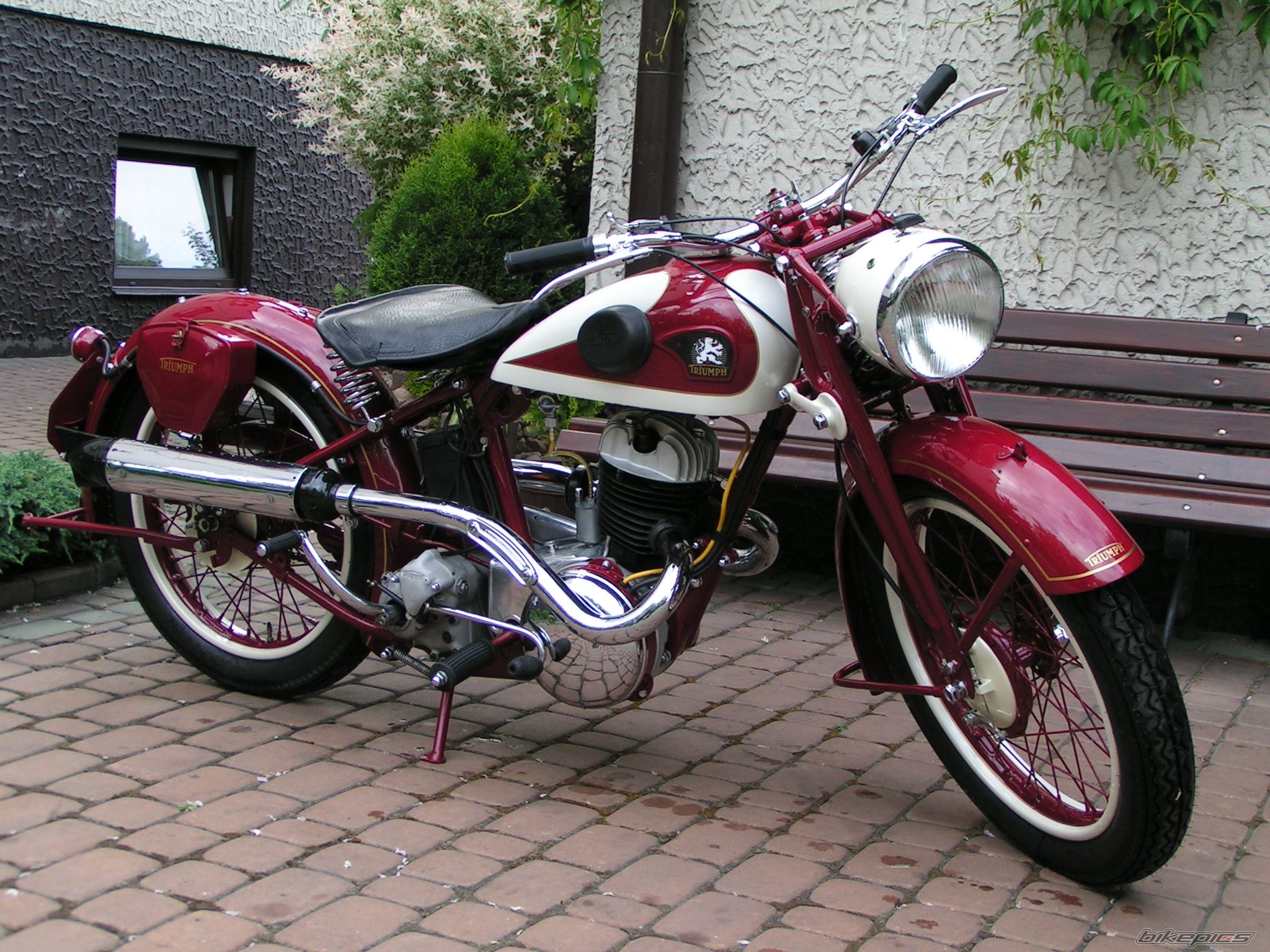 Bike Photo 1528055
