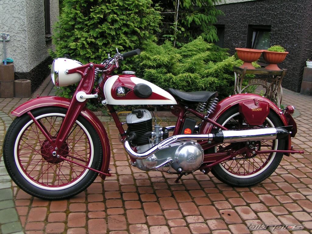 Bike Photo 1528056