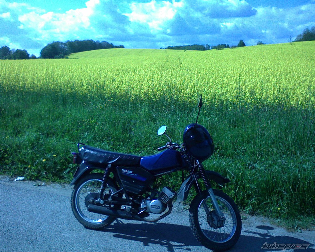 Photo 1528101