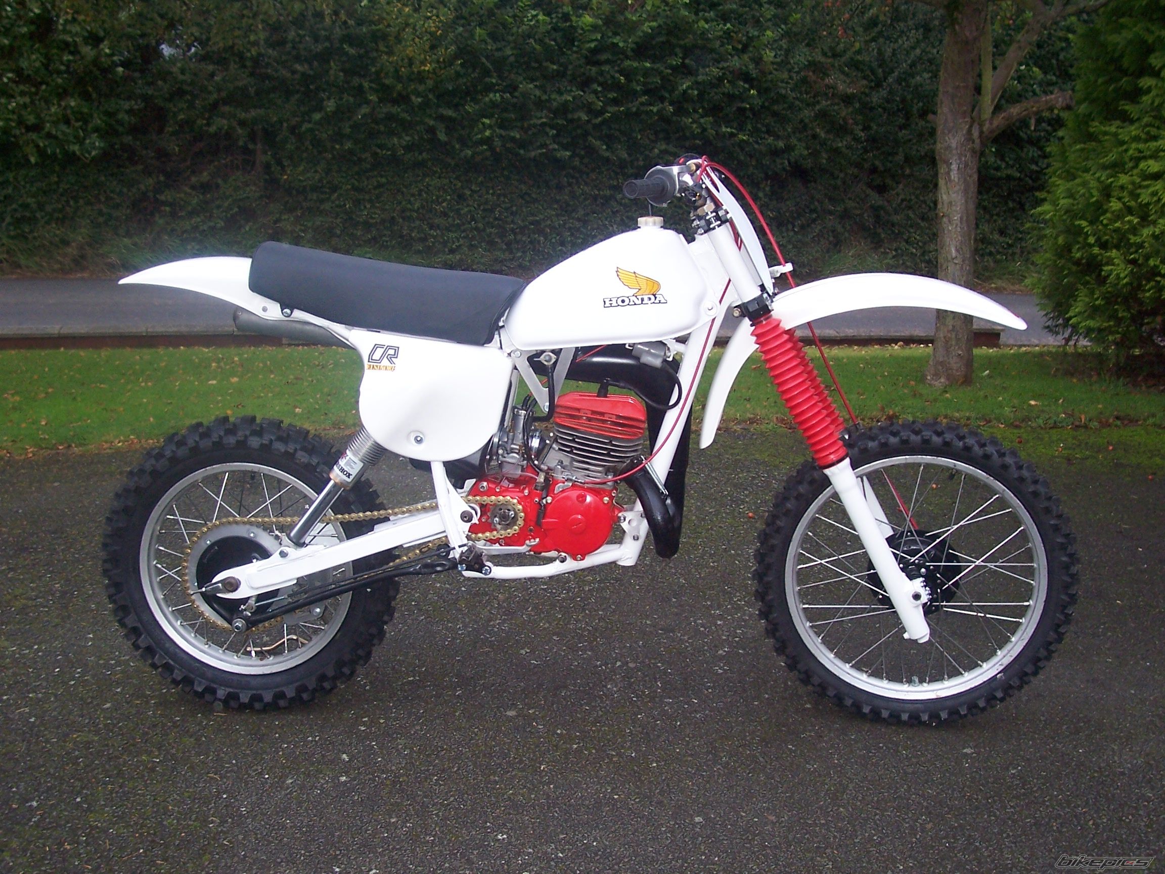 Photo 1528302