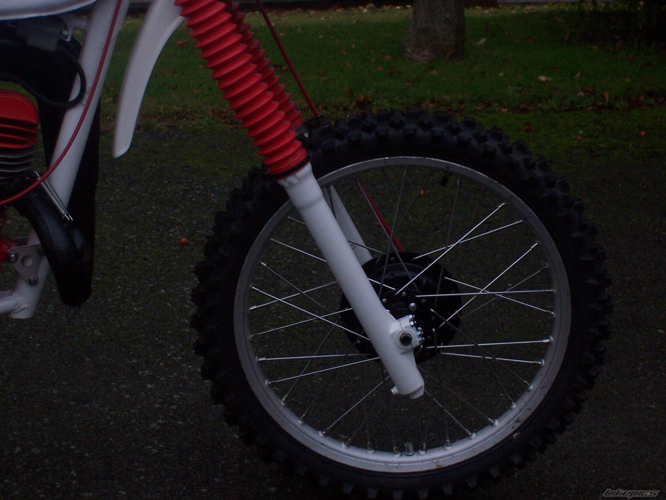 Photo 1528304