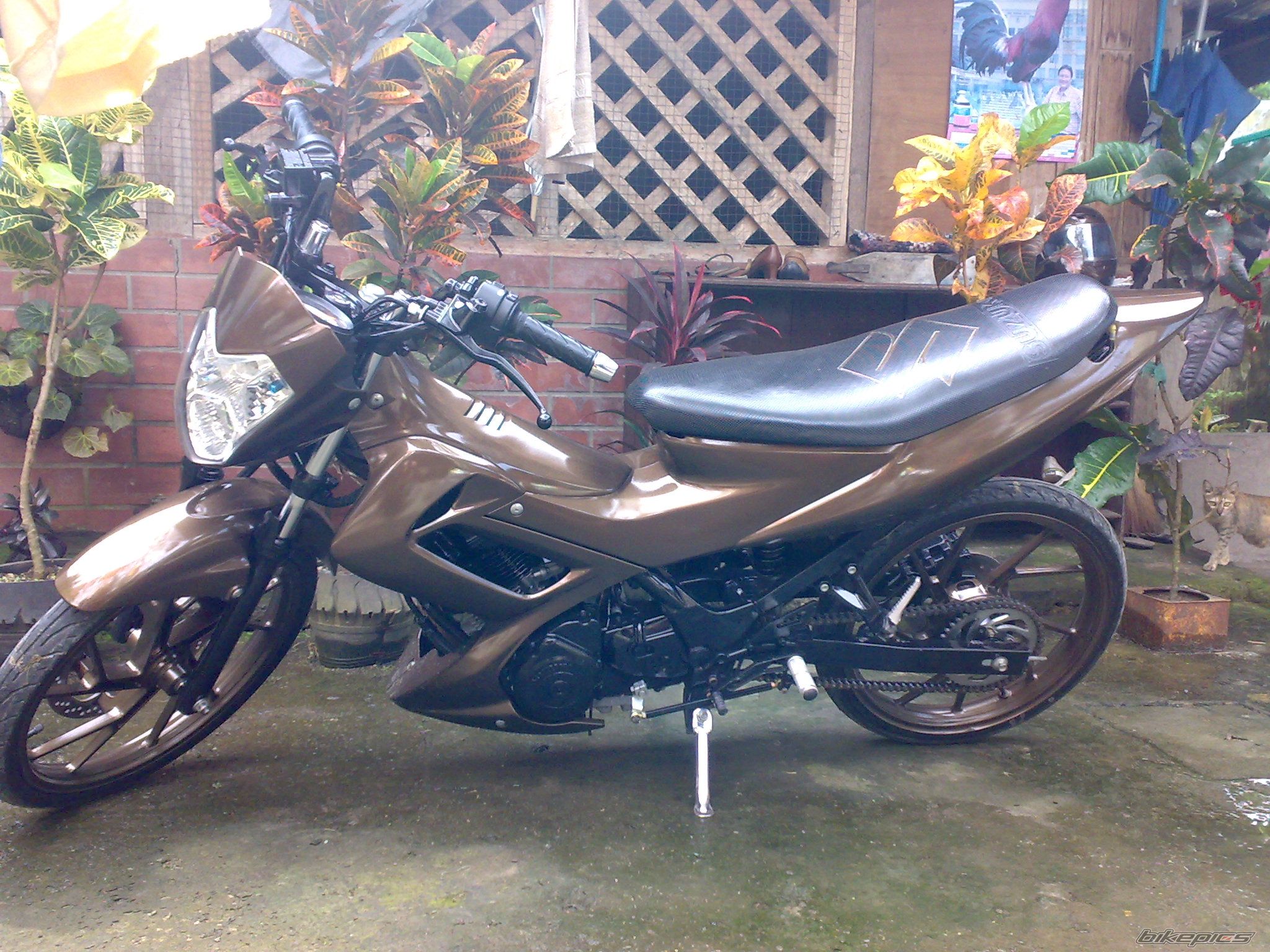 Bike Photo 1528347