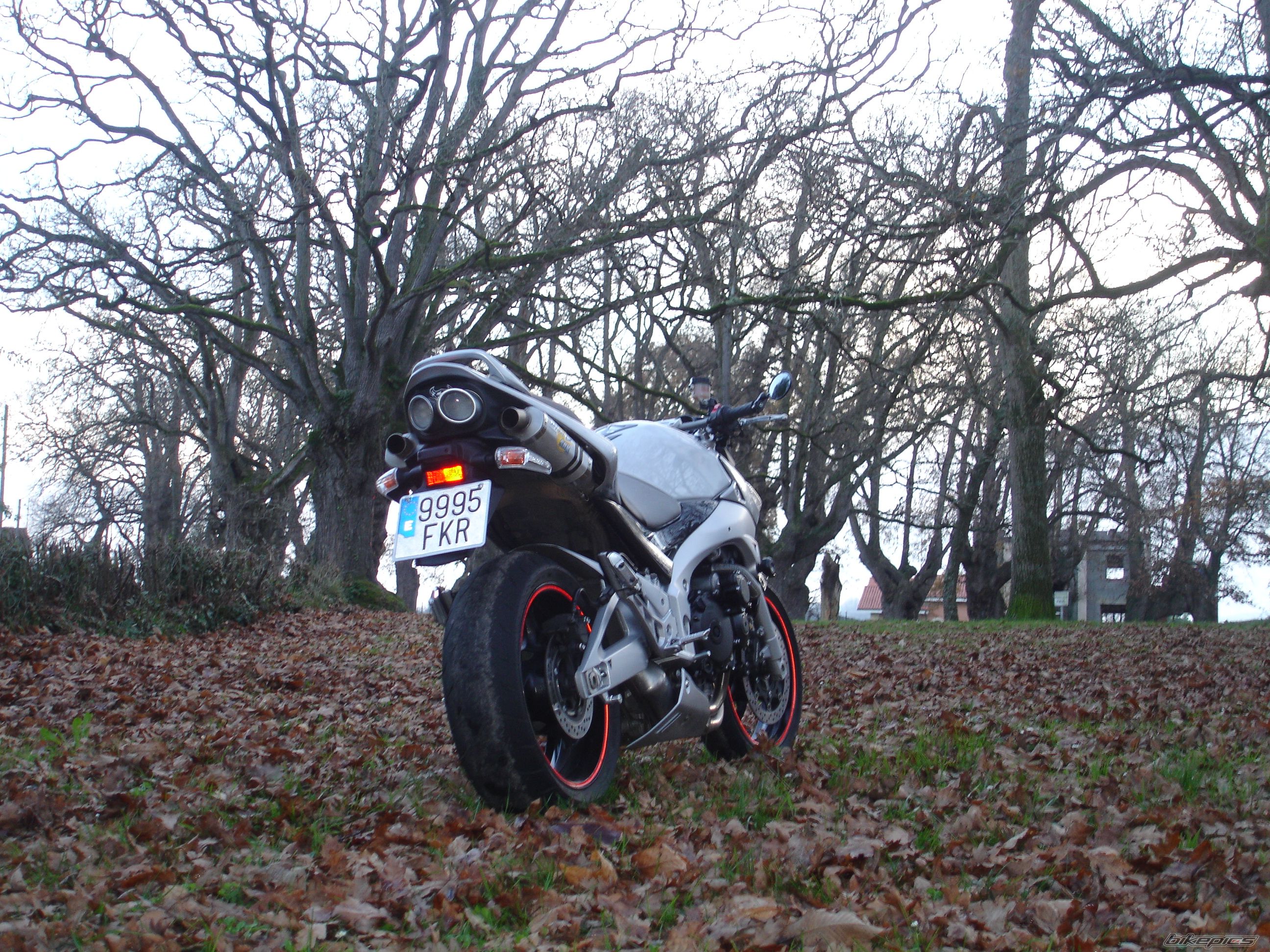 Photo 1528360
