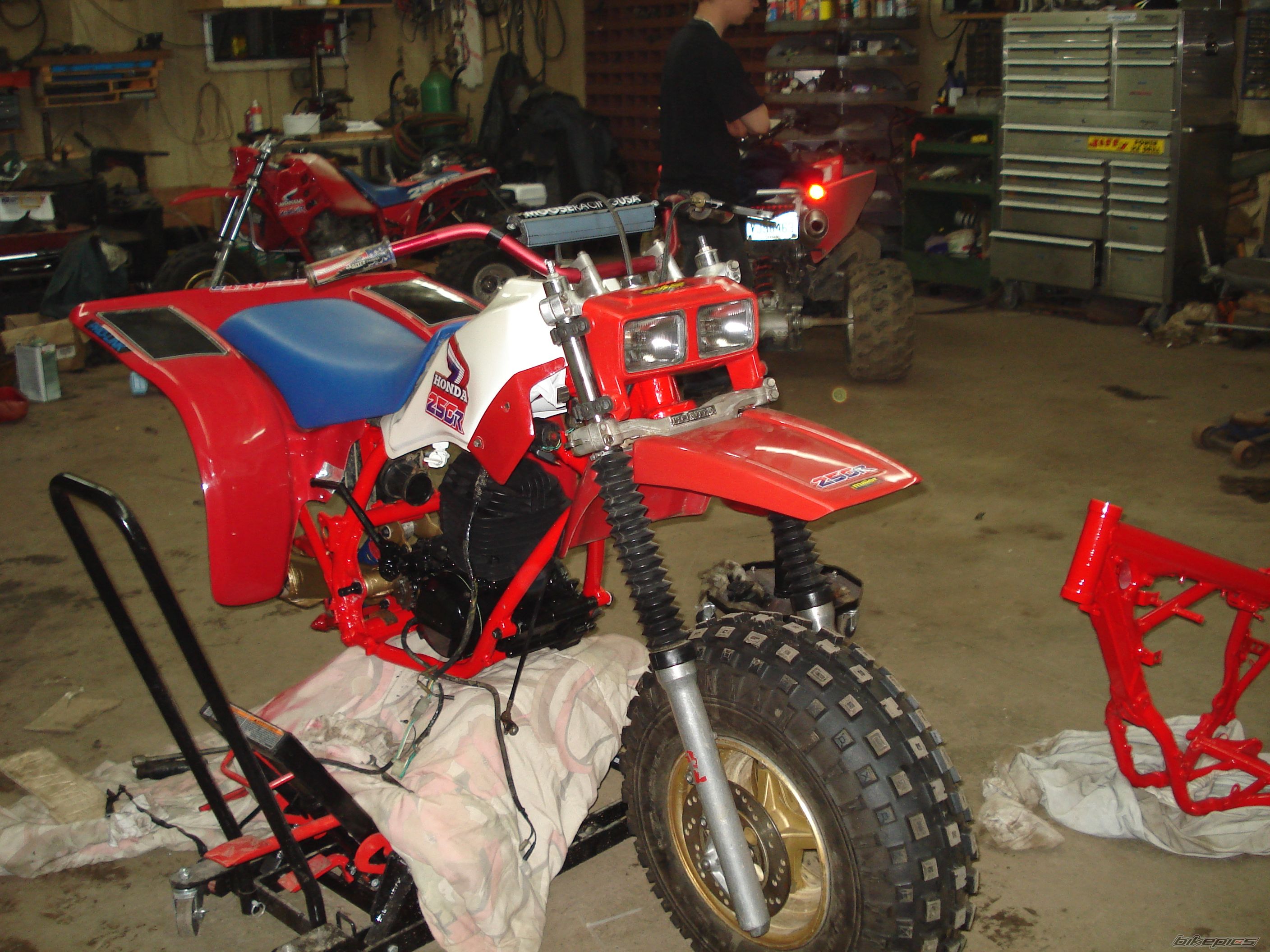 Photo 1528466