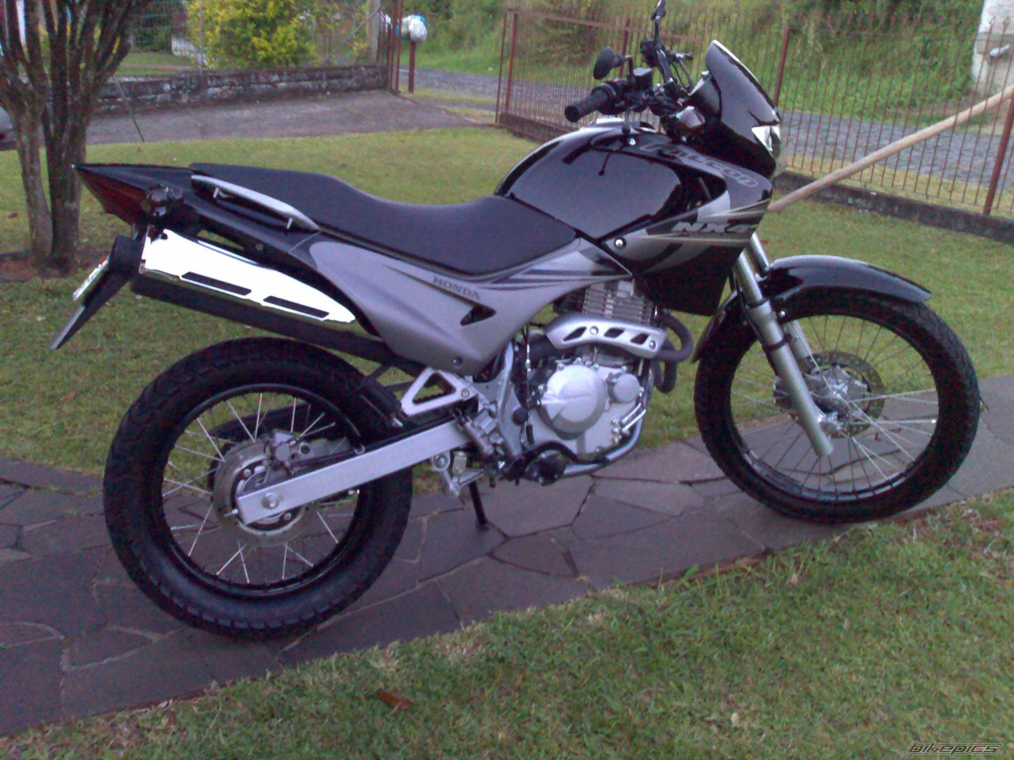 Photo 1528497