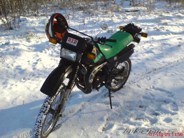 Photo 1528725