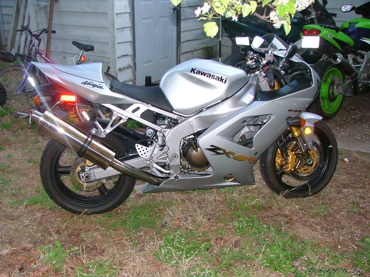 Photo 152877