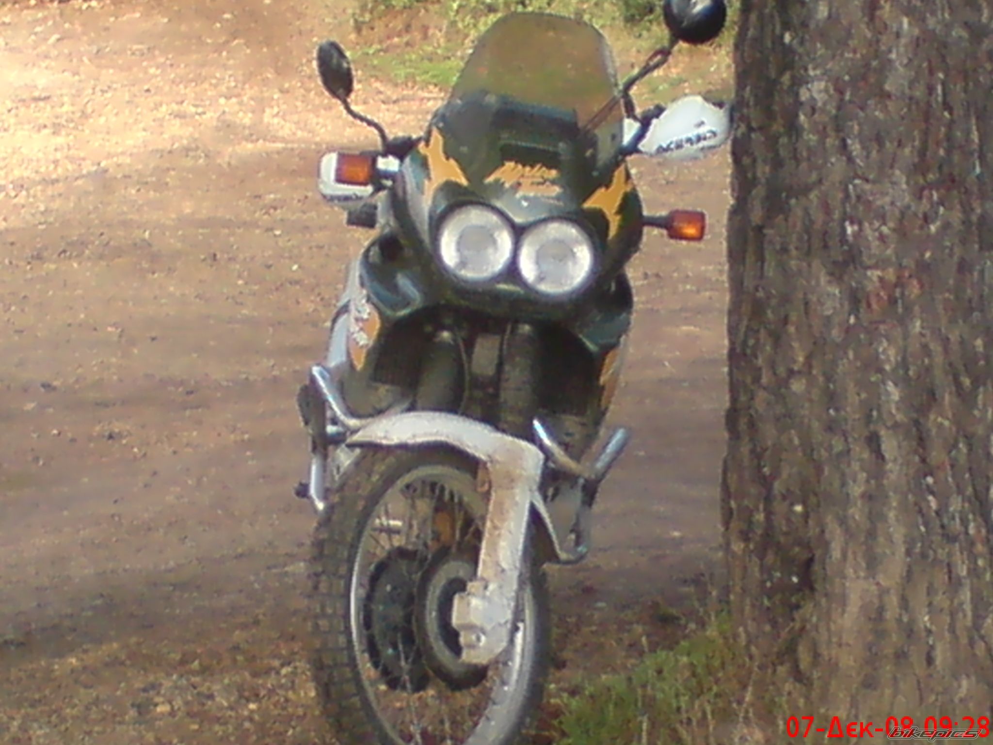 Photo 1528790