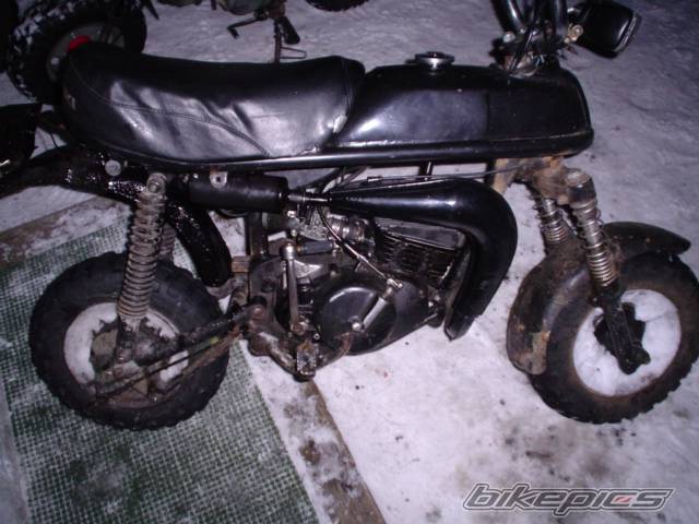 Photo 152885