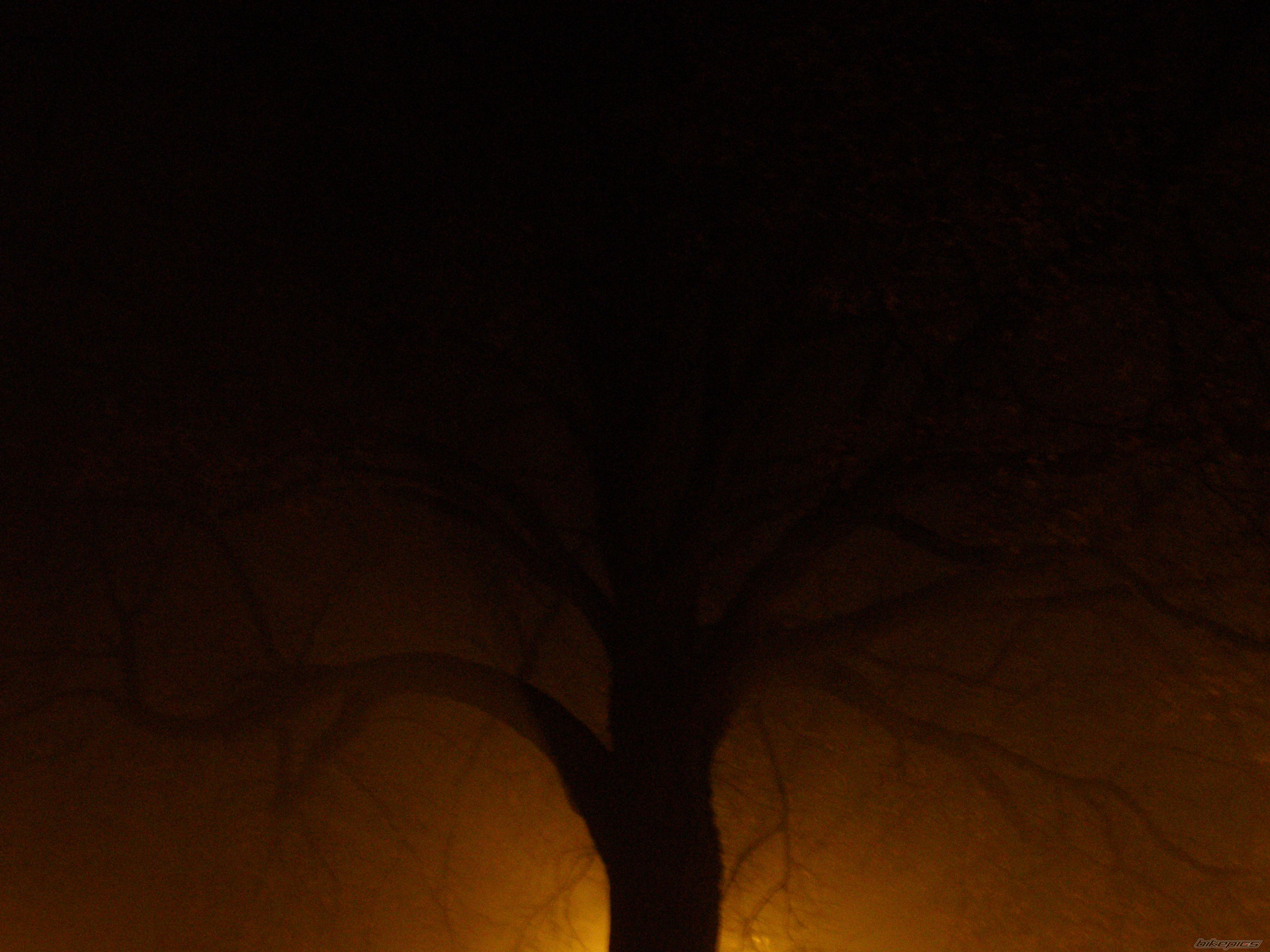 Bike Photo 1528998
