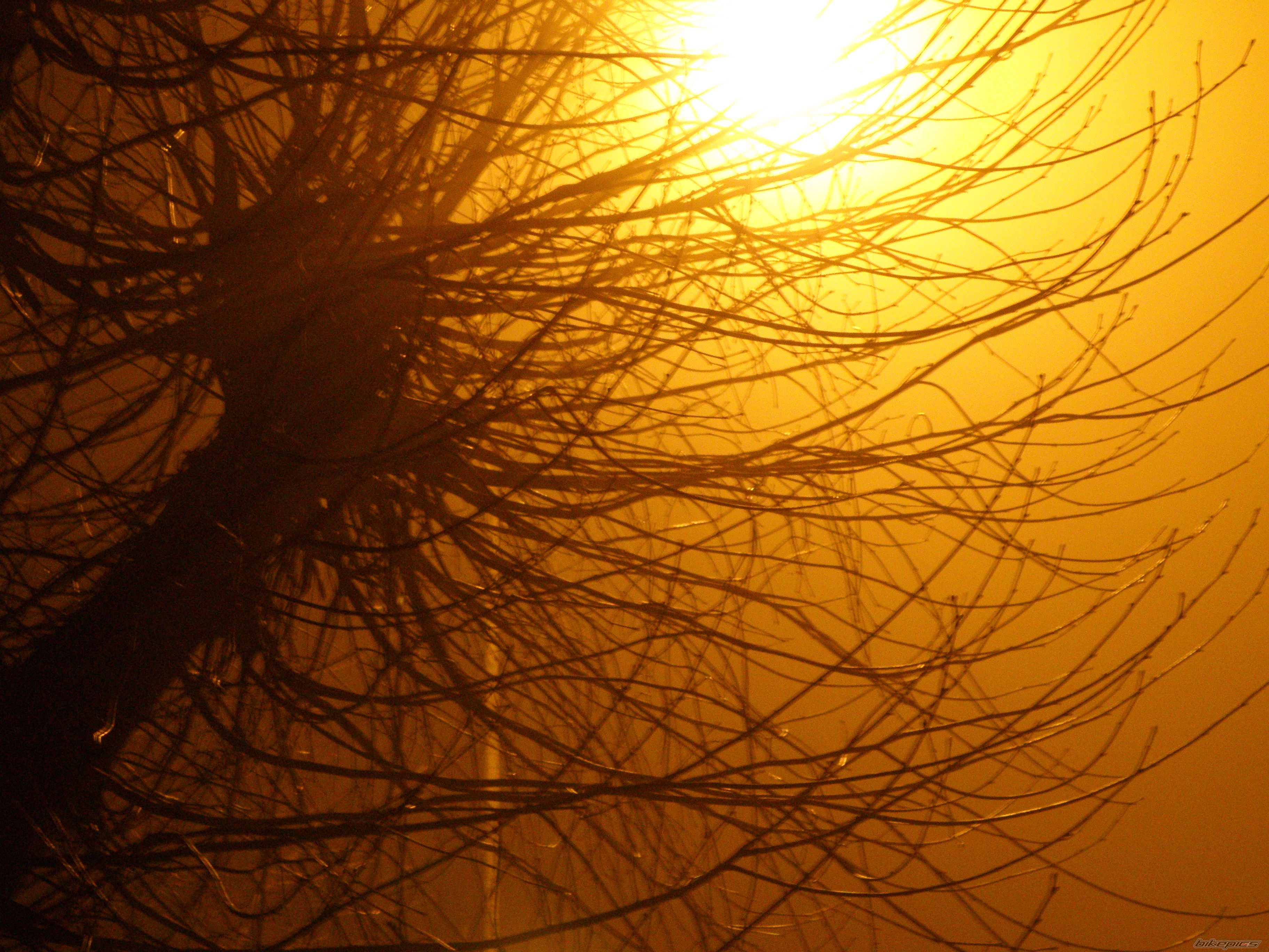 Bike Photo 1529012