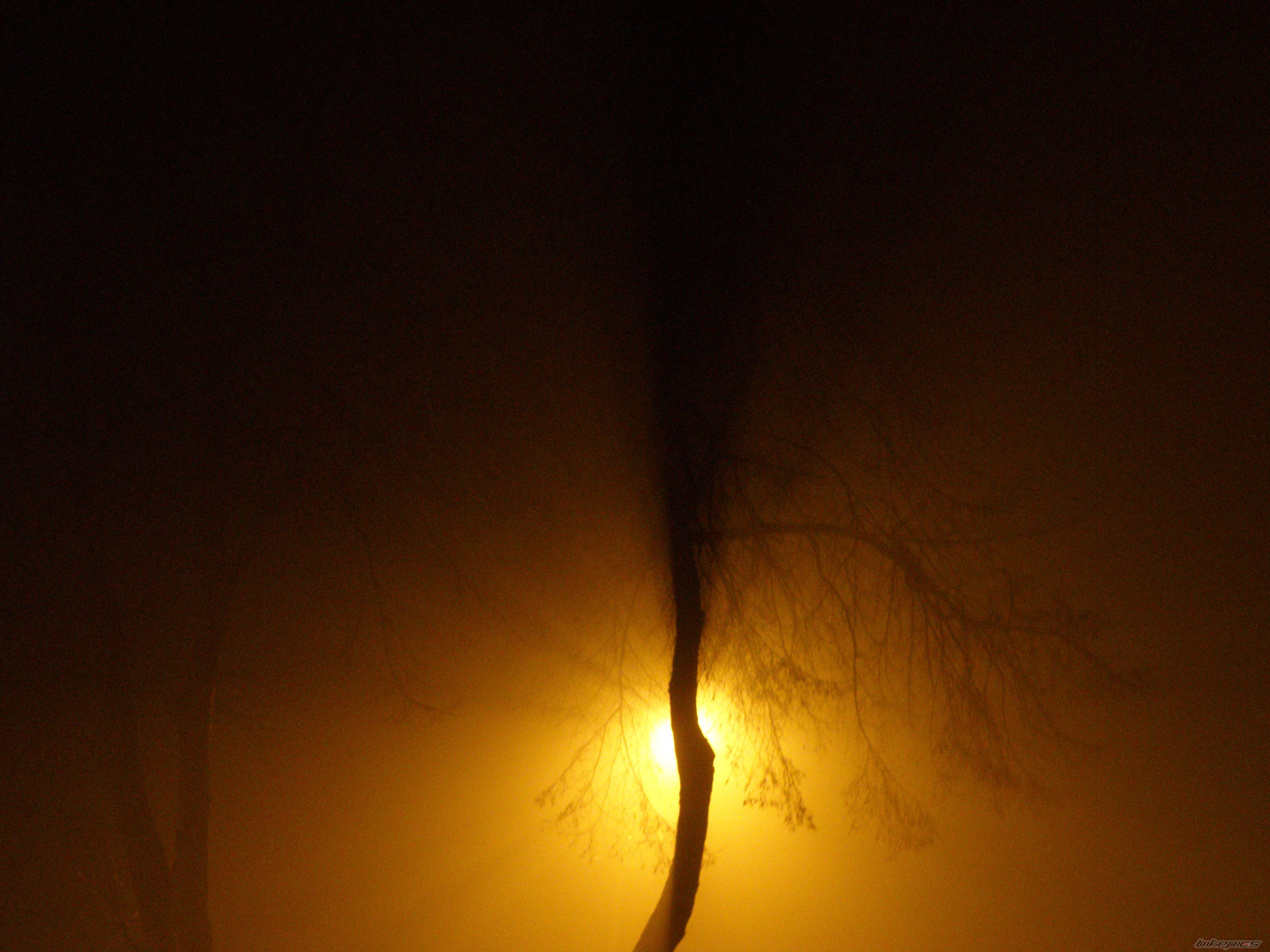 Bike Photo 1529041