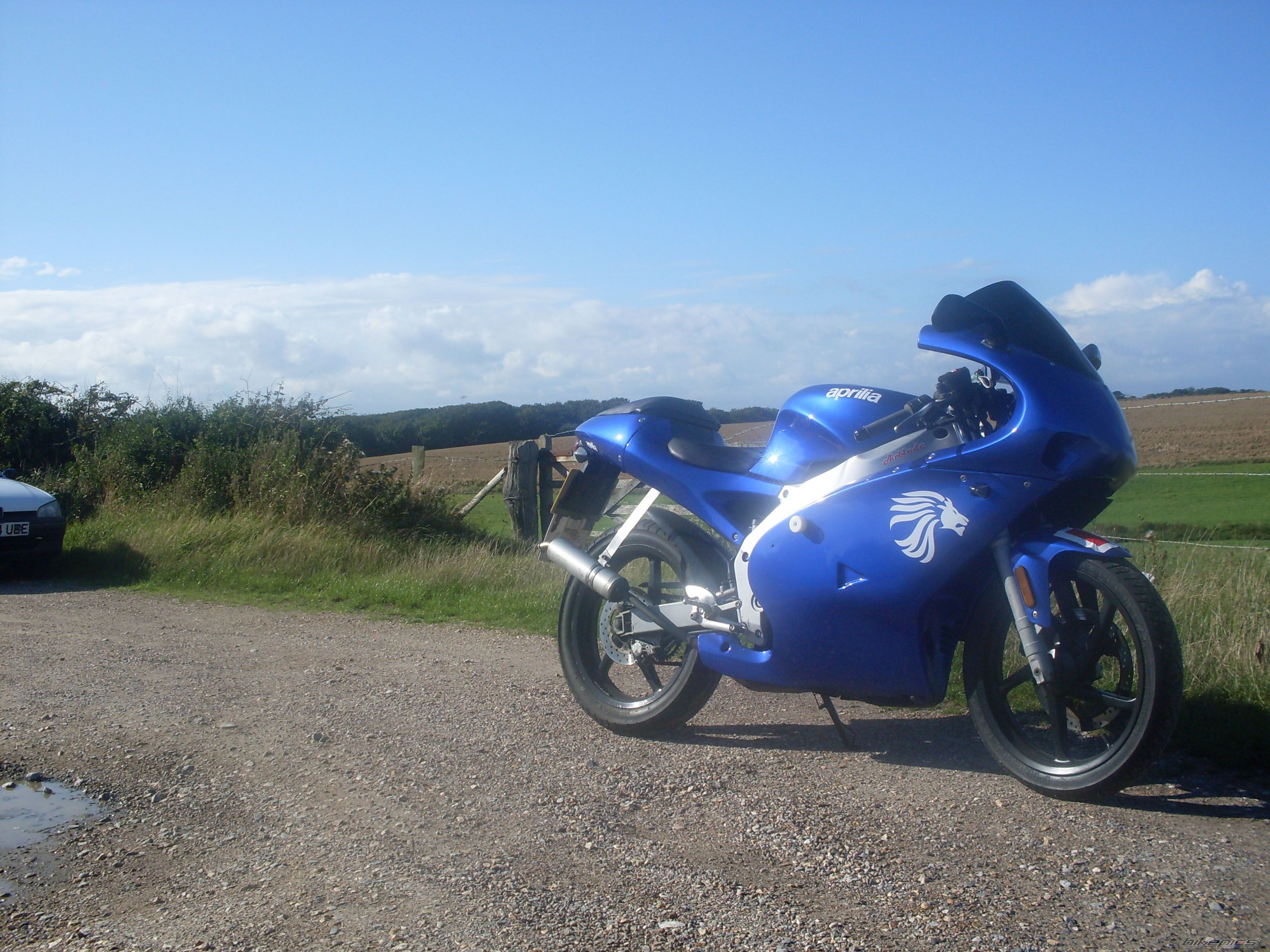 Photo 1529055