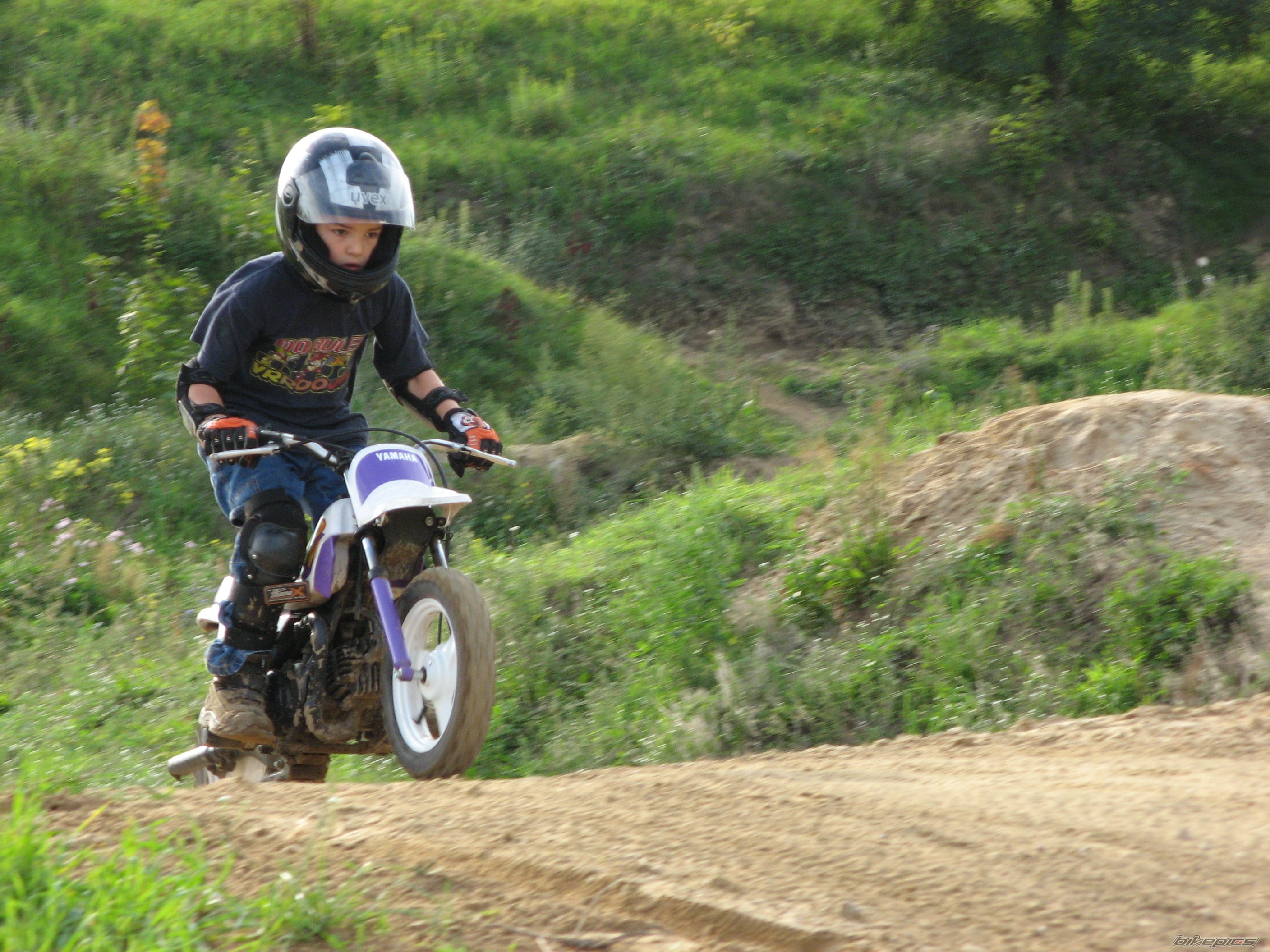 Photo 1529095