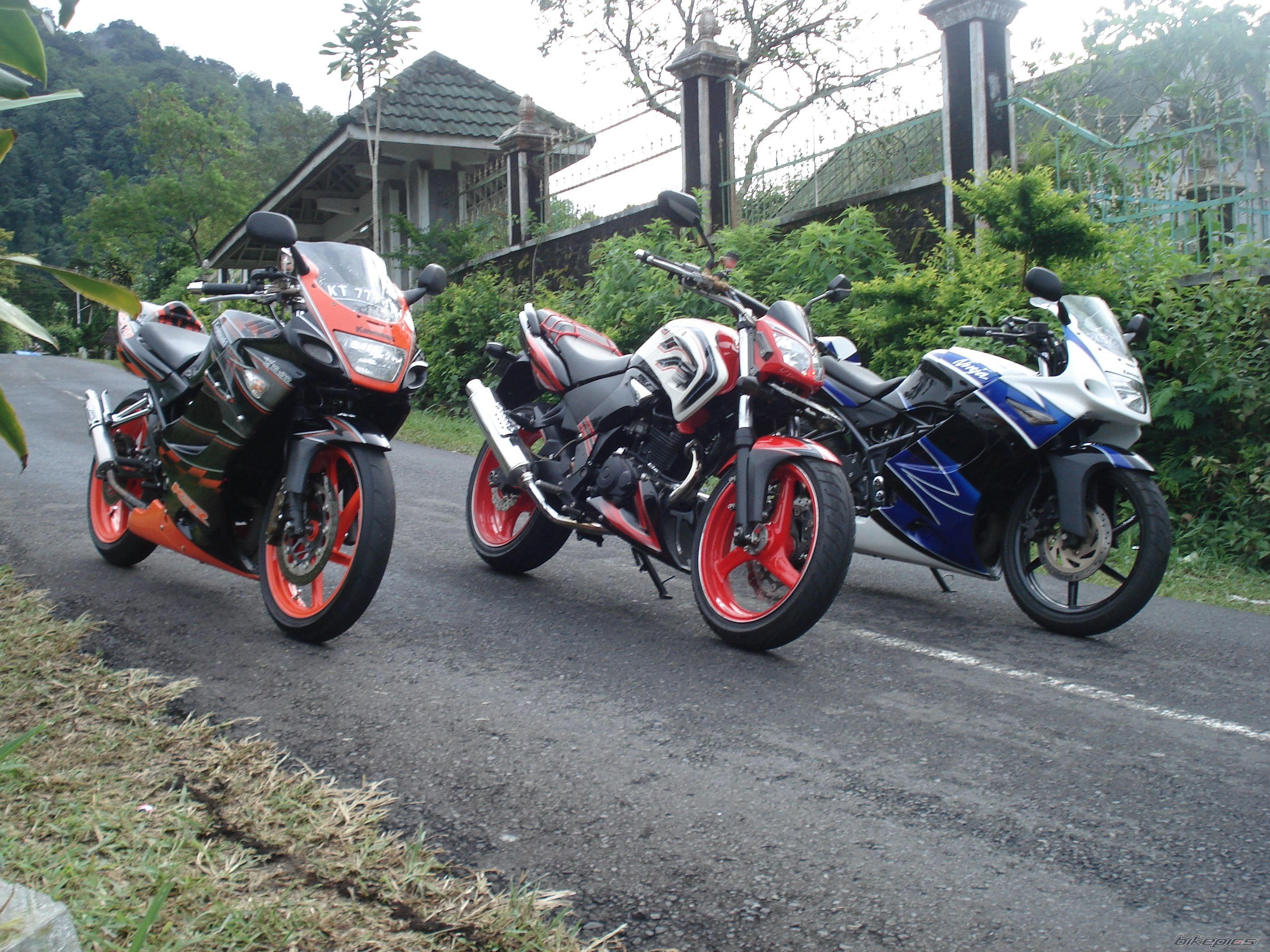 Photo 1529103