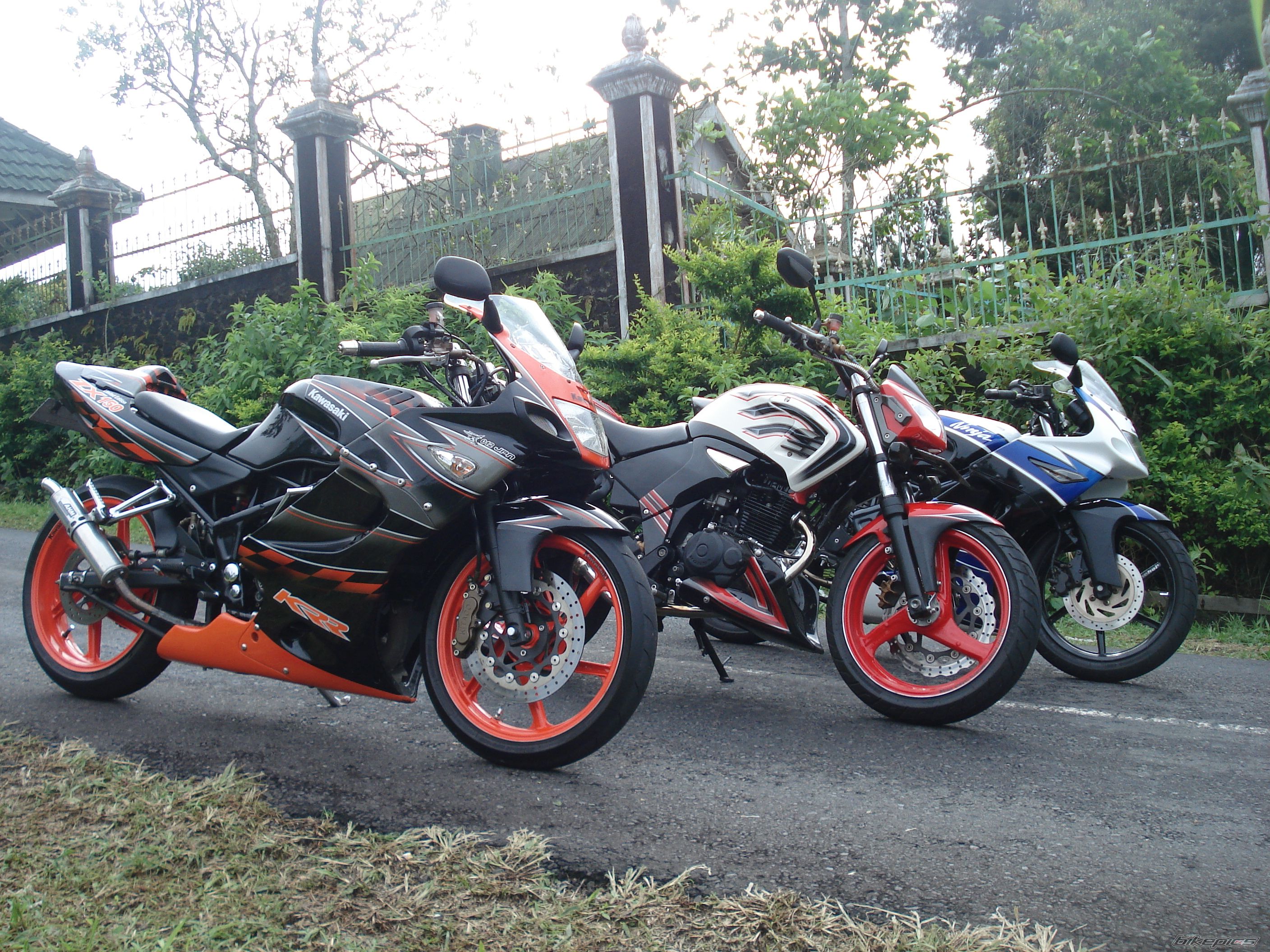 Photo 1529104