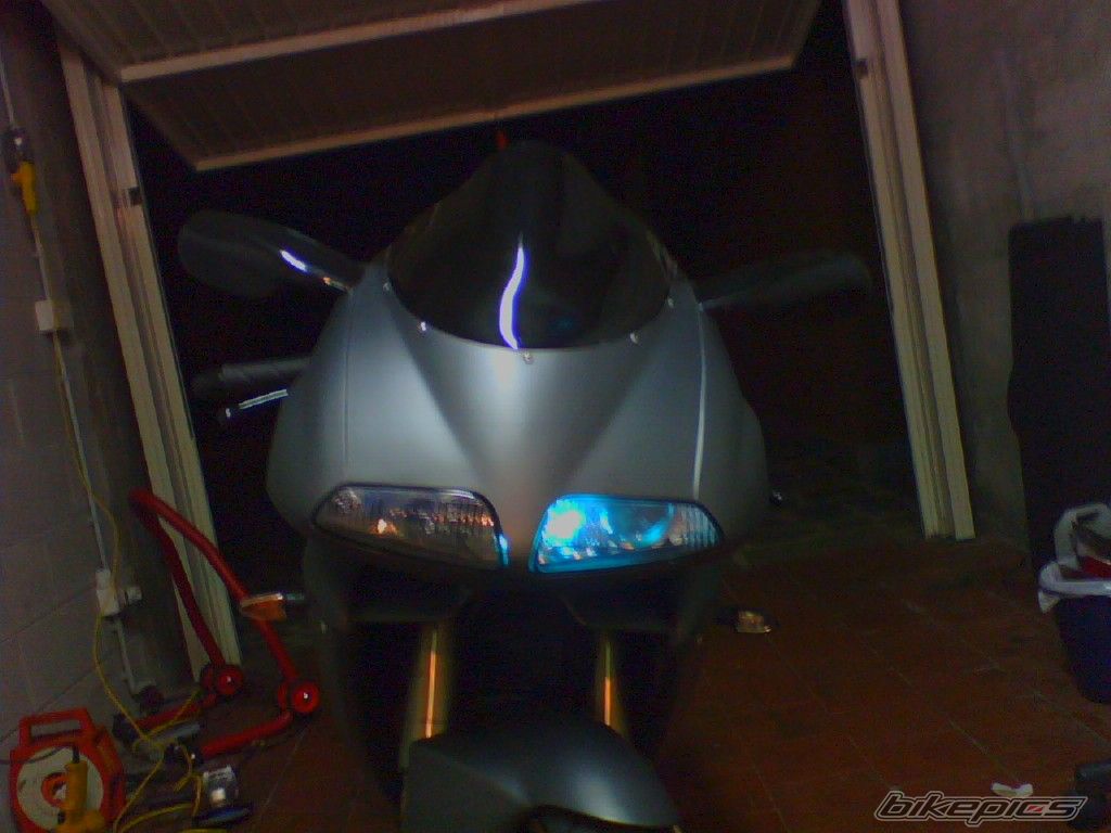 Photo 1529122