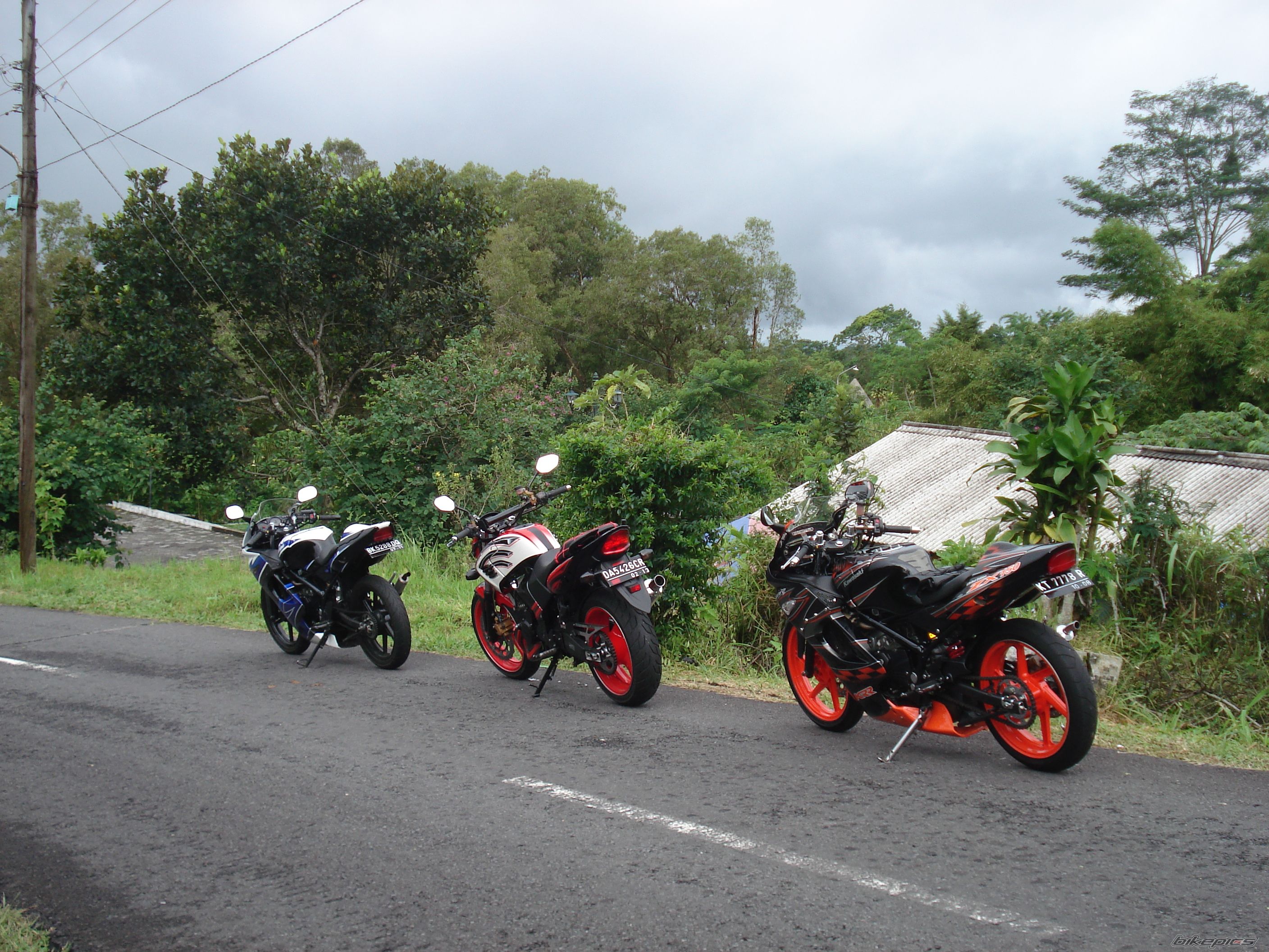 Photo 1529143