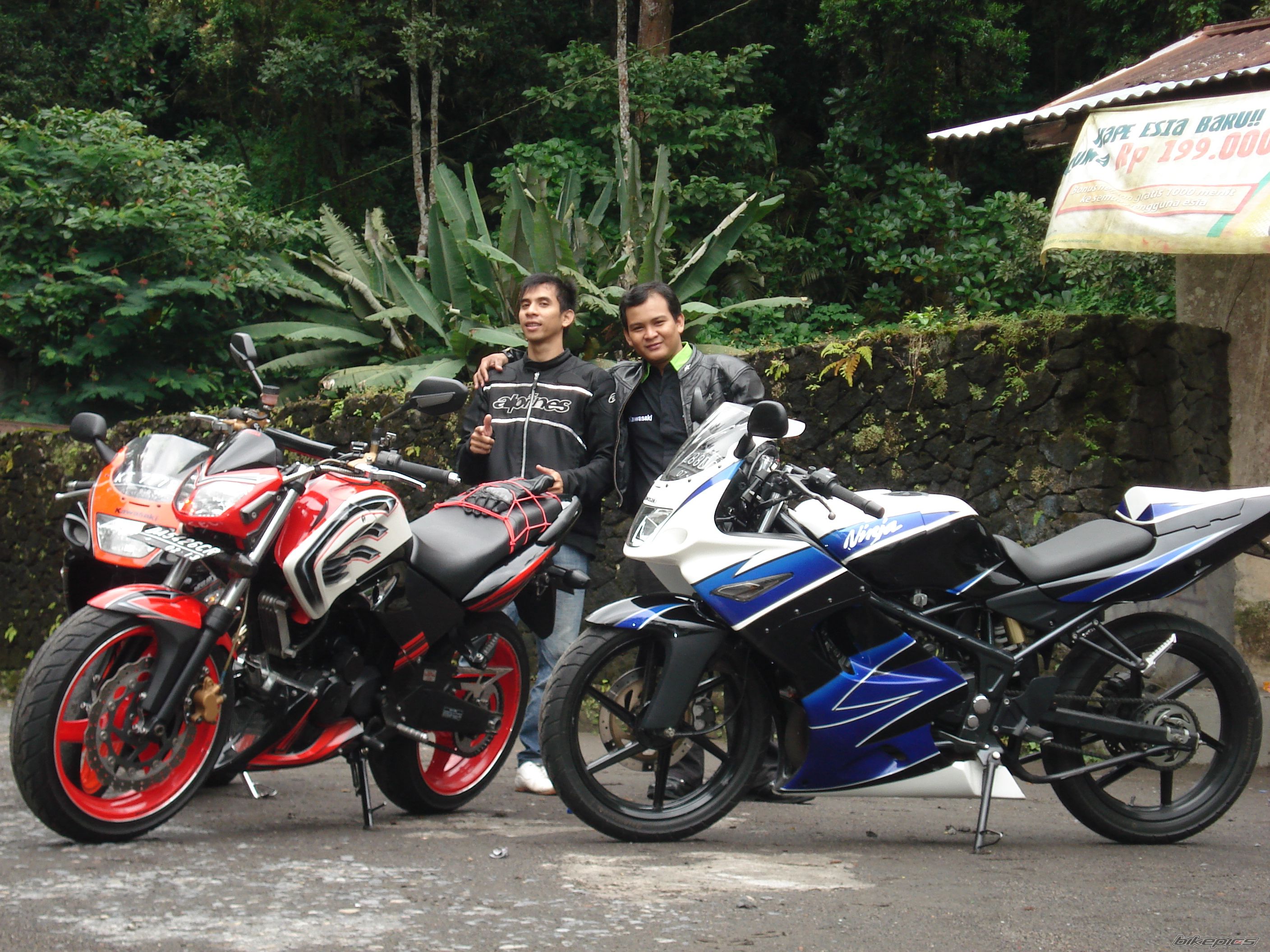 Photo 1529149