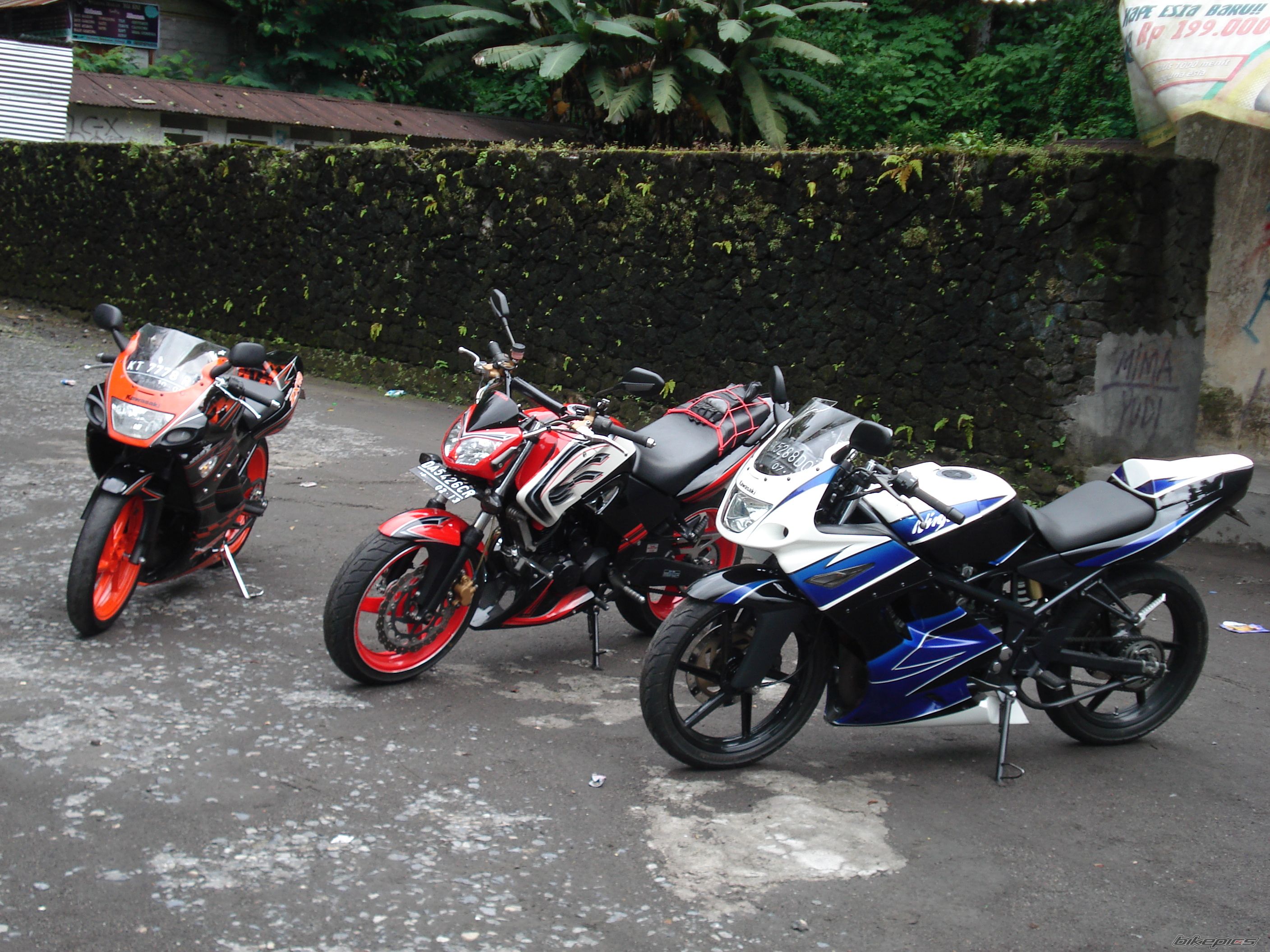 Photo 1529162