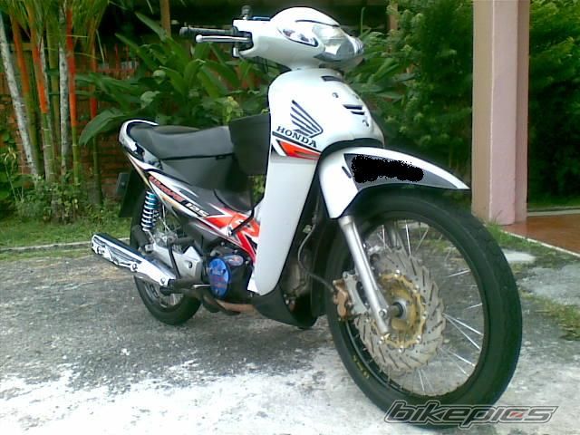 Photo 1529166