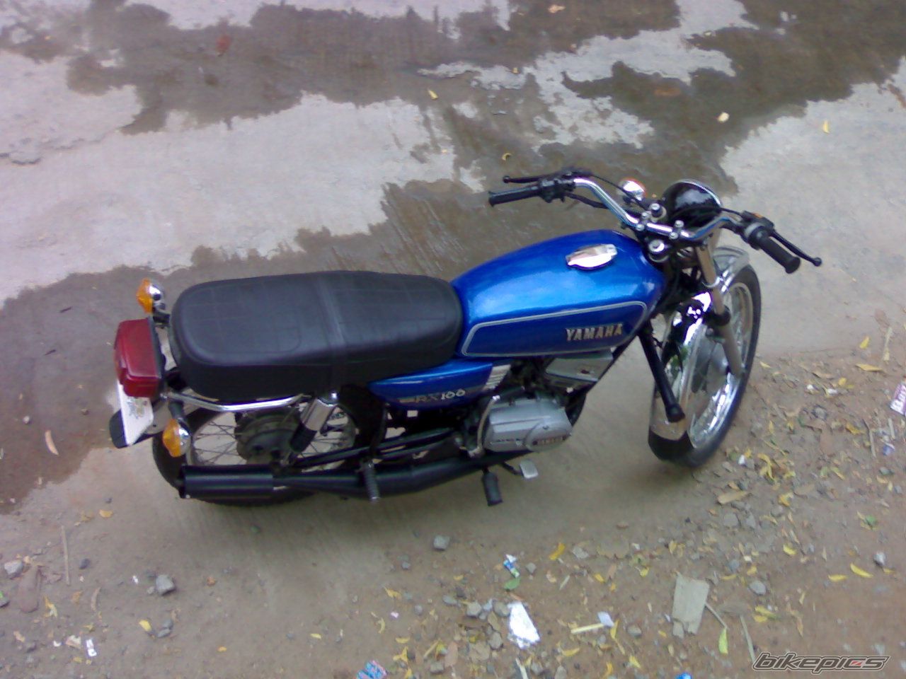 Photo 1529225