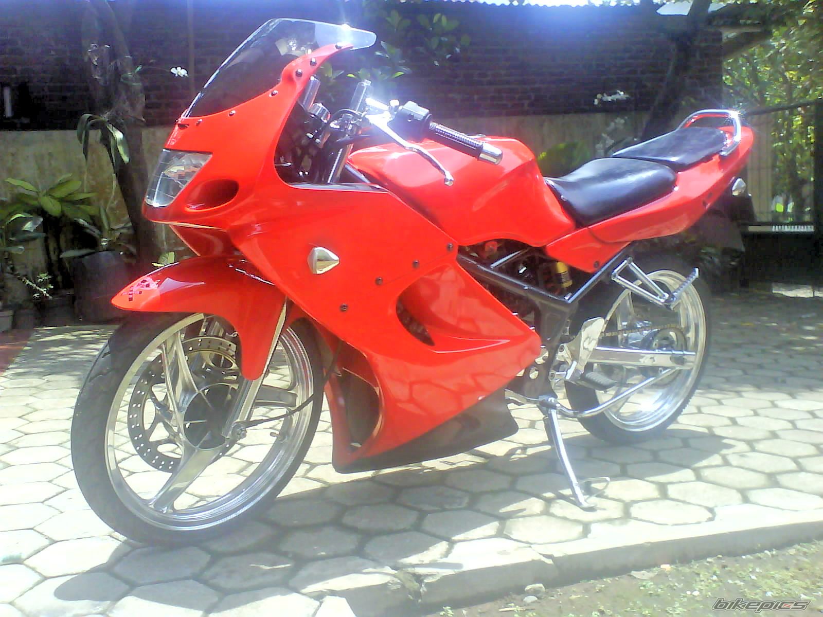 Photo 1529248