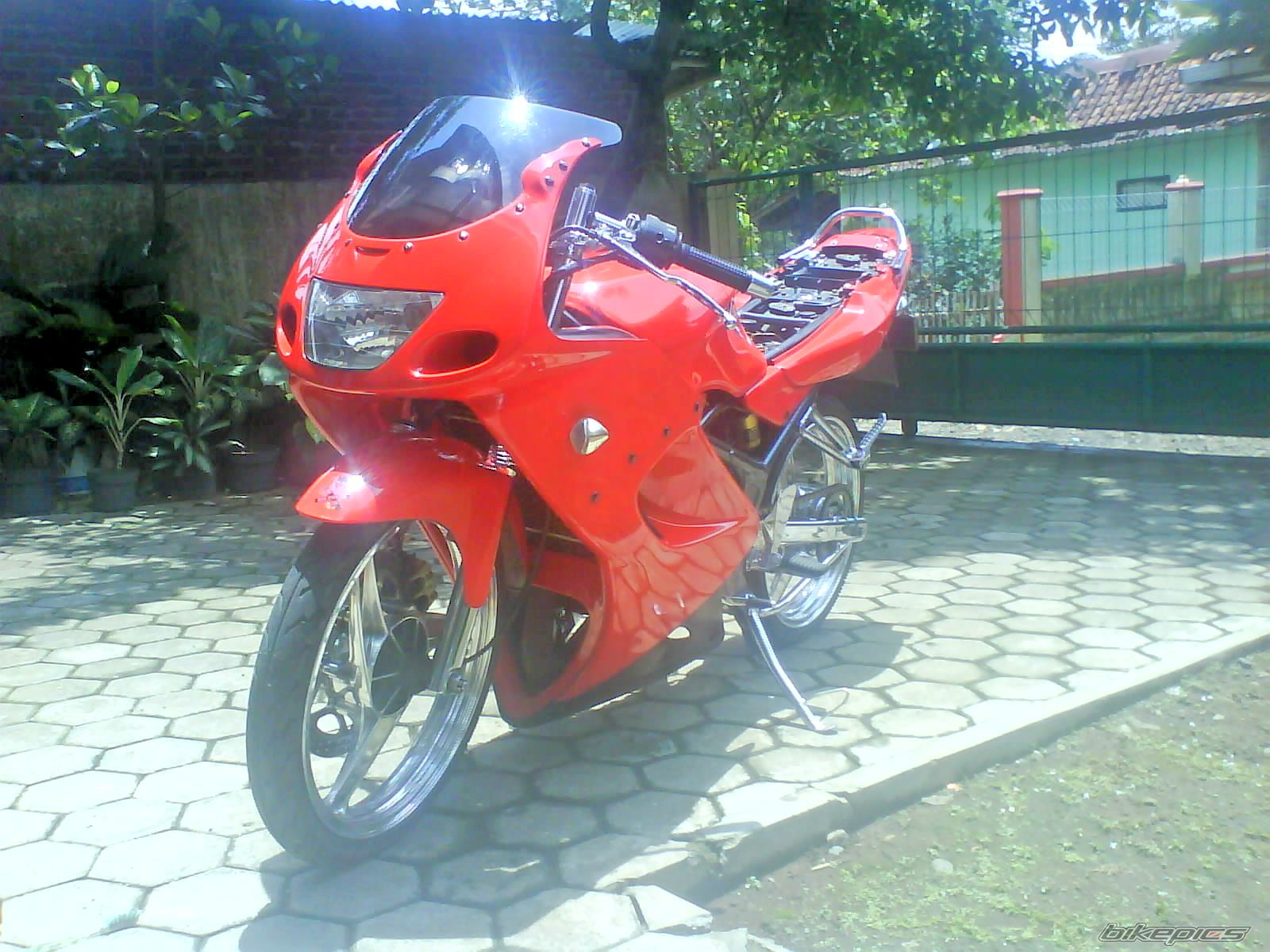 Photo 1529249